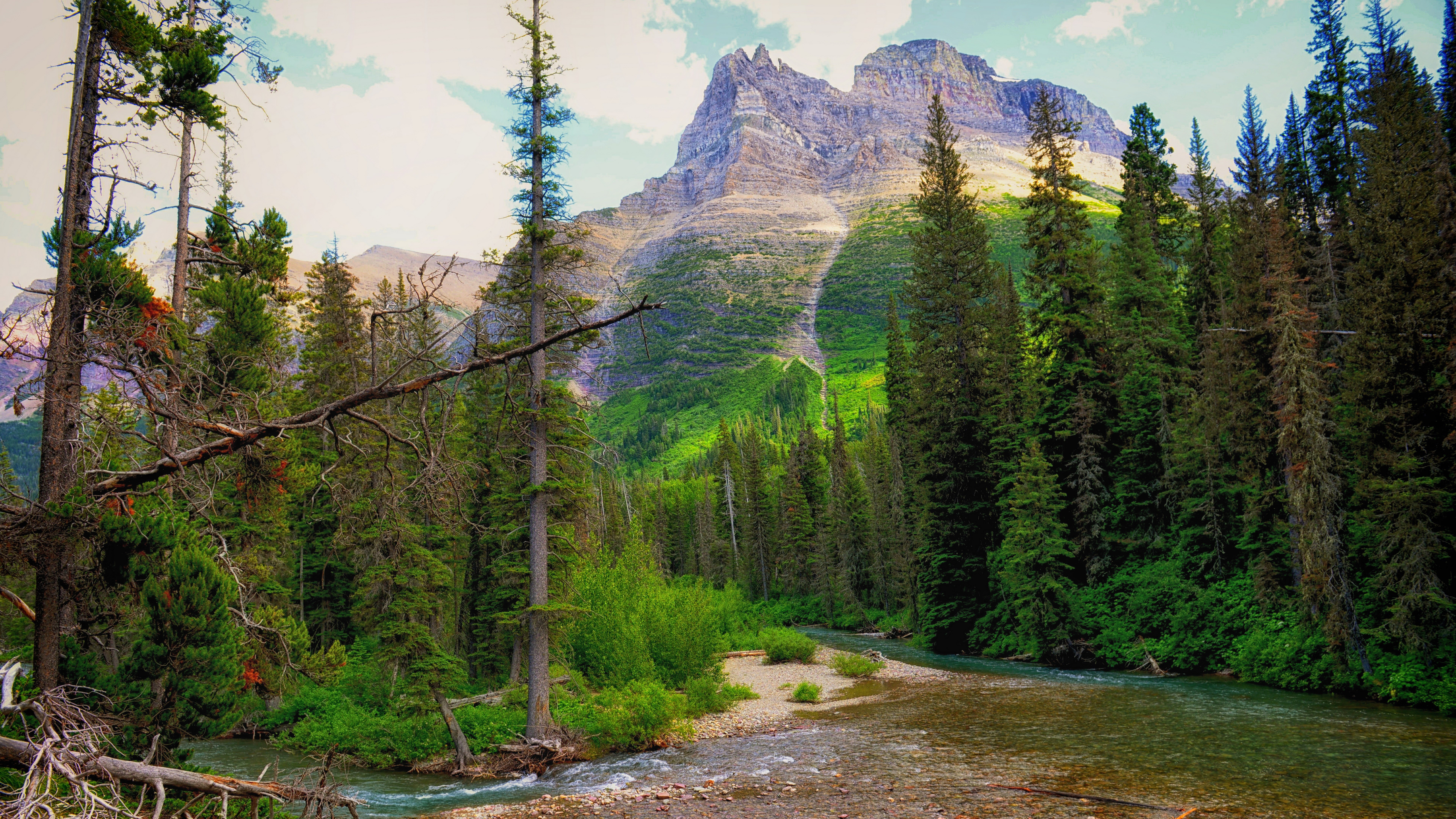 Mountain and Forest with River HD Wallpaper