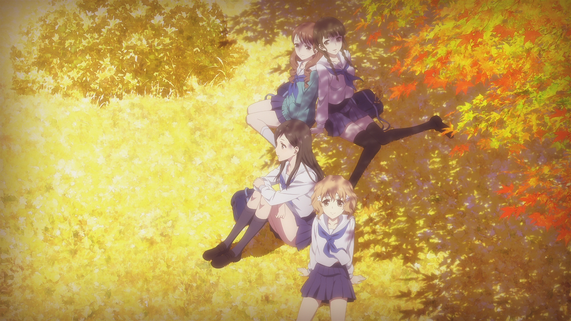 Four schoolgirls sitting in a park during autumn HD Wallpaper