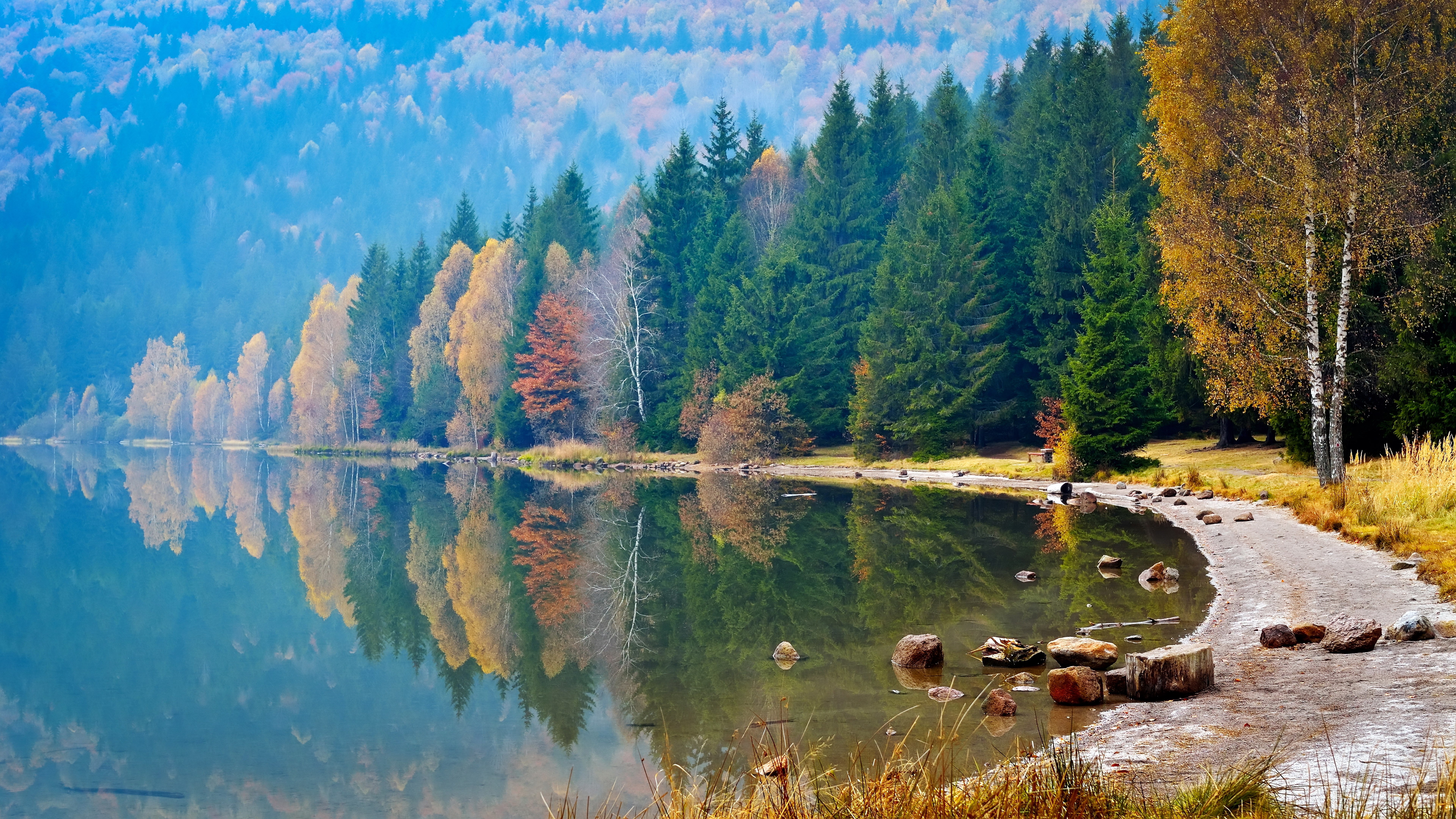 Autumn forest reflected in a calm lake HD Wallpaper