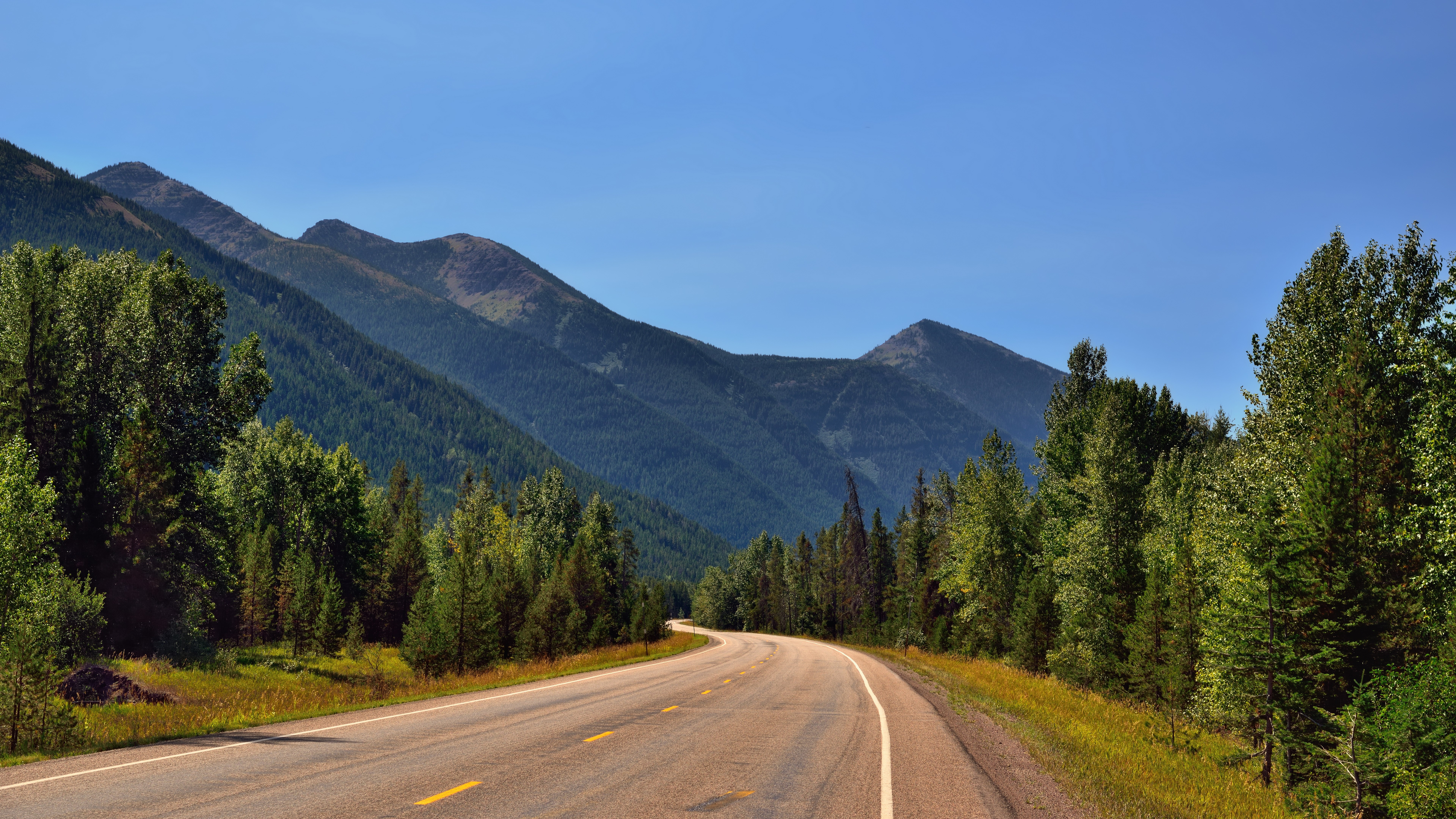 Winding road through a mountain valley with pine trees HD Wallpaper