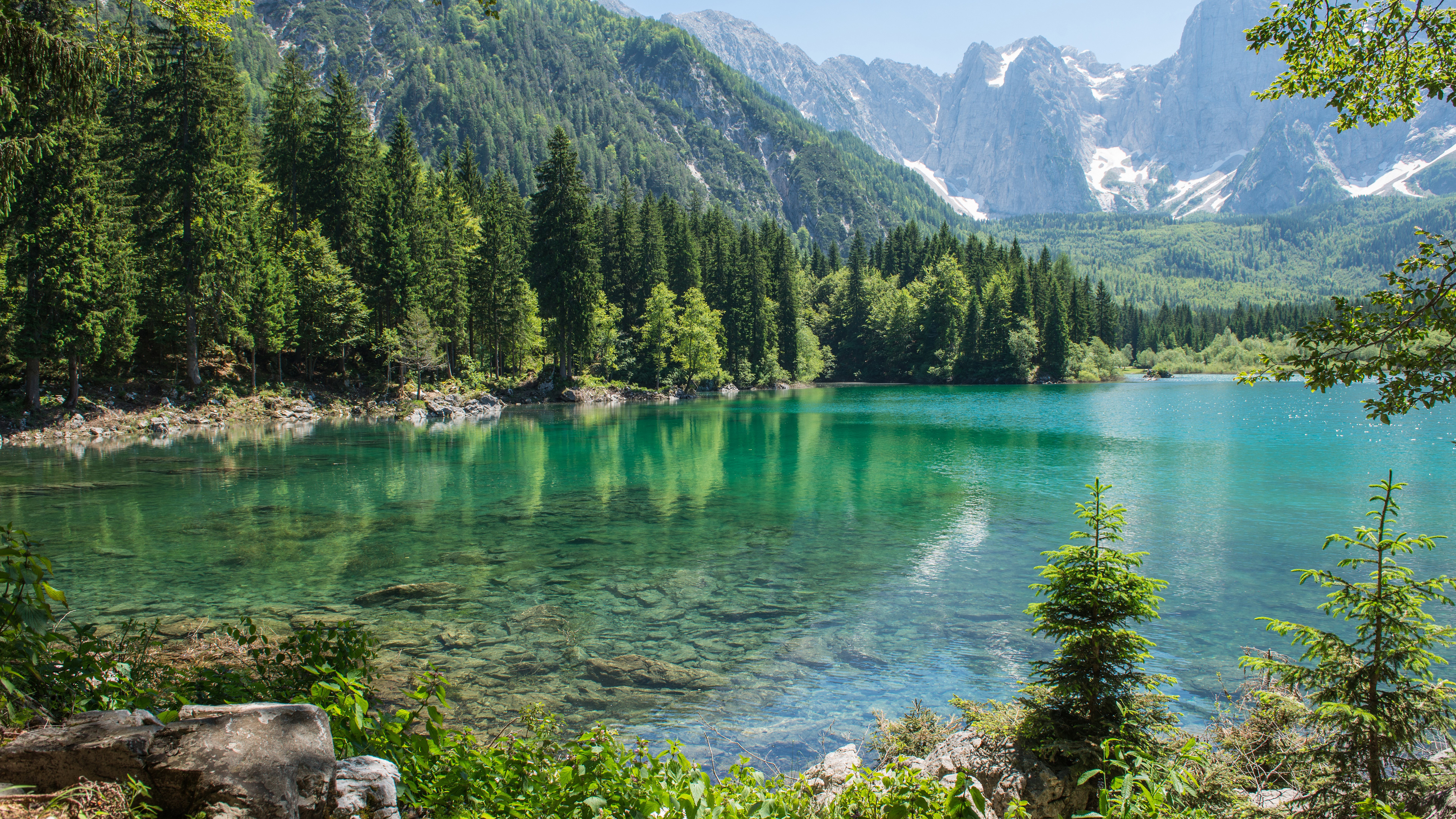 Turquoise mountain lake with pine forest and rocky peaks HD Wallpaper