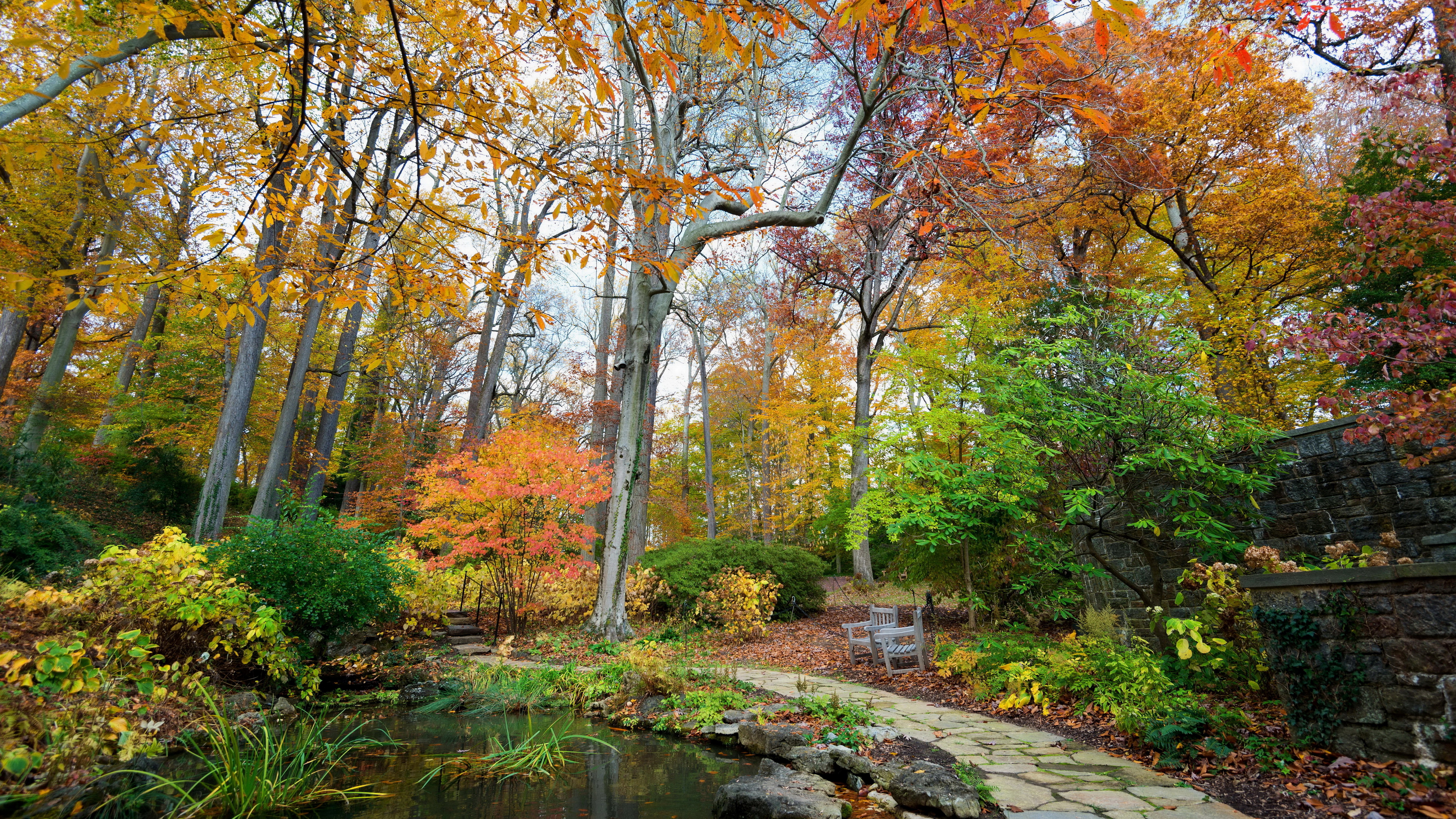 Autumn garden with a pond and stone wall HD Wallpaper