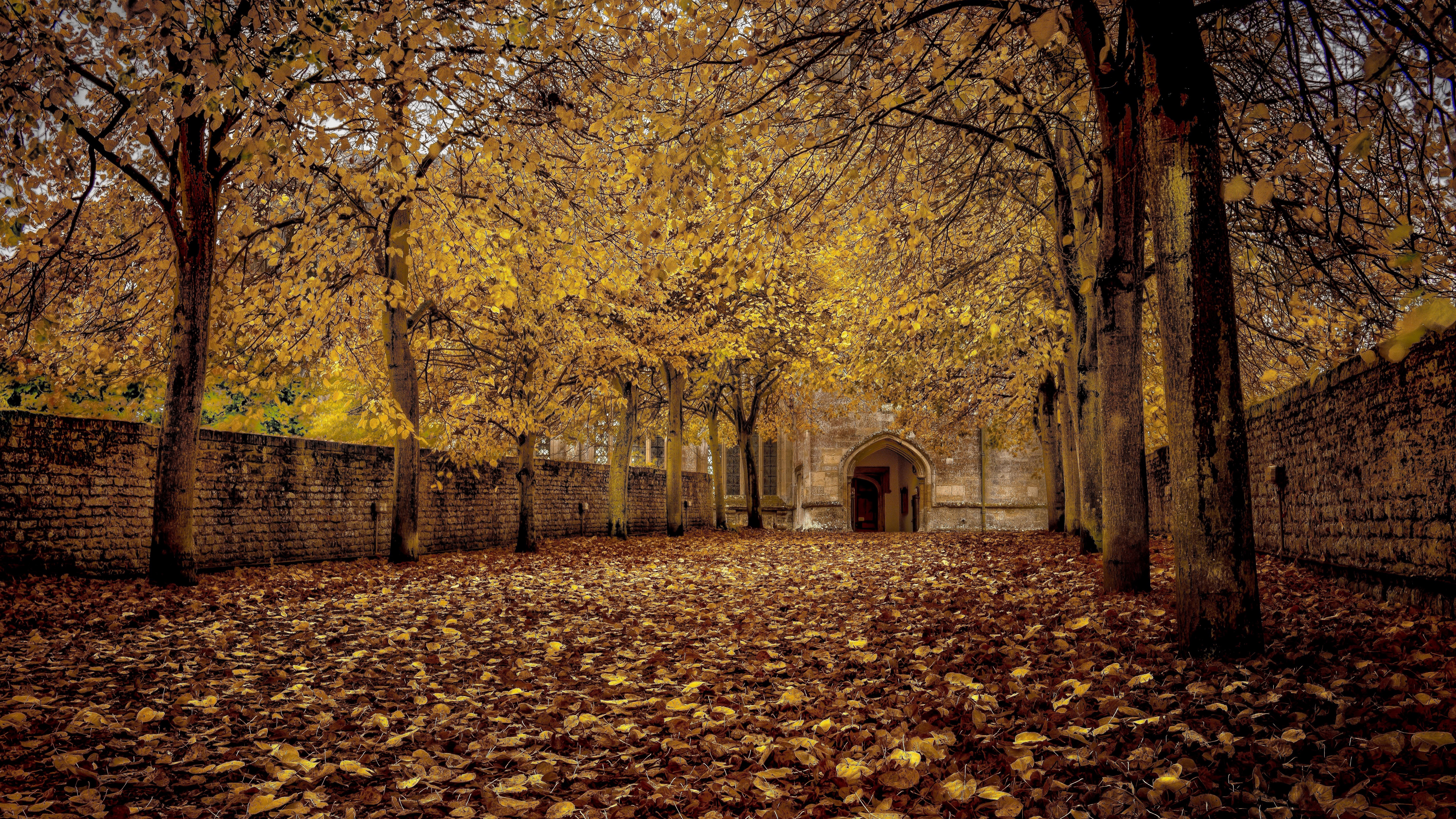 Autumn pathway with stone wall and building entrance HD Wallpaper
