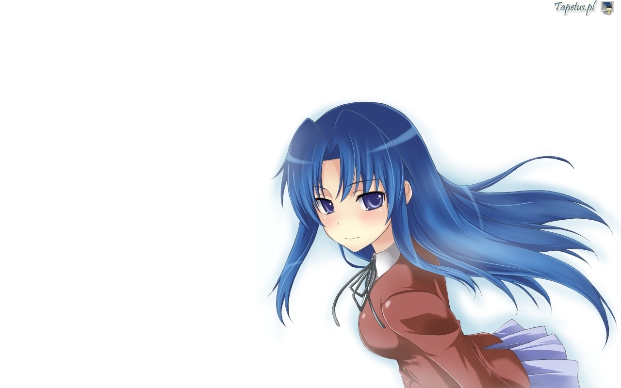 Ami Kawashima from Toradora! HD Wallpaper