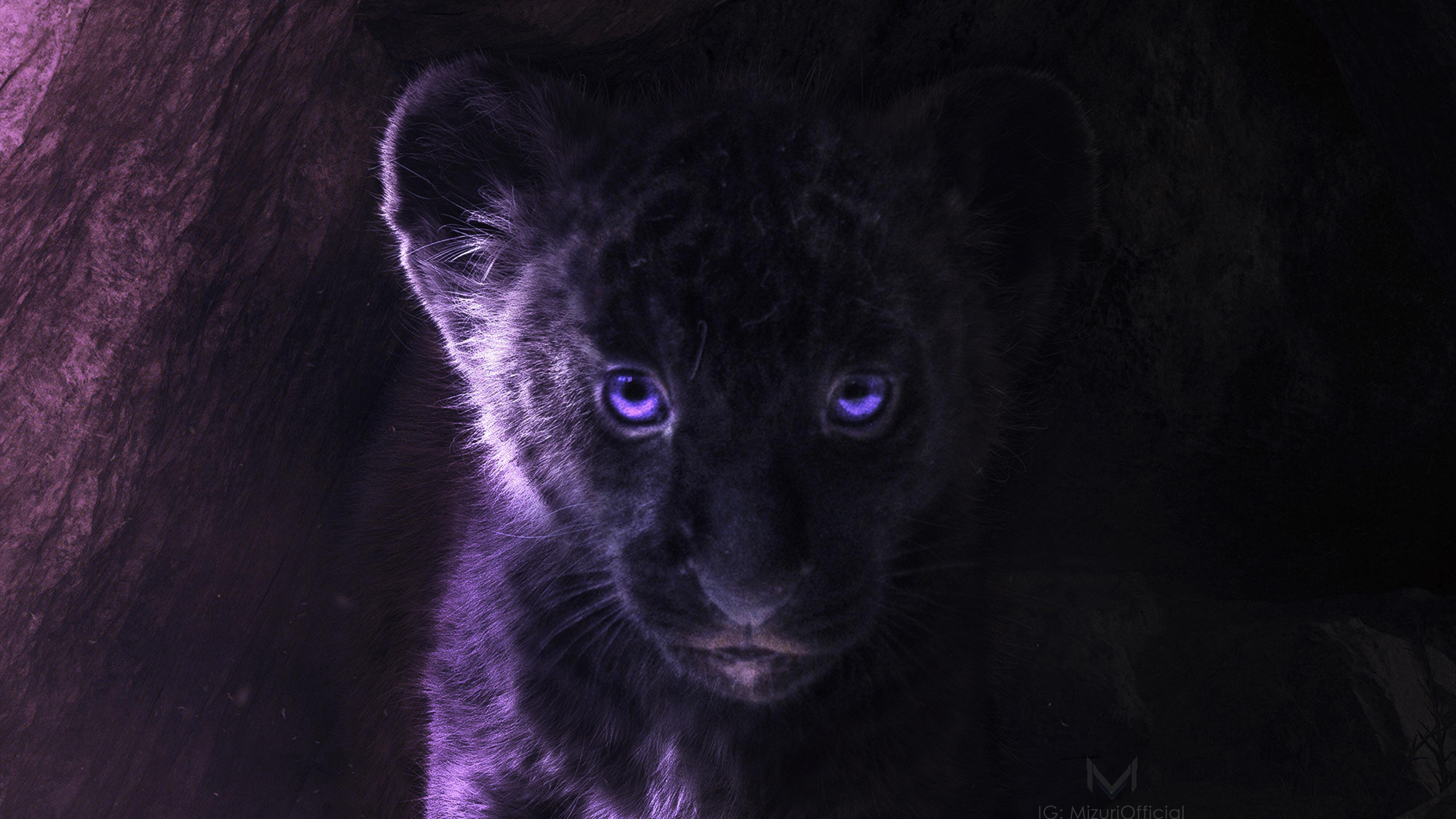 Black Panther Cub with Purple Eyes HD Wallpaper