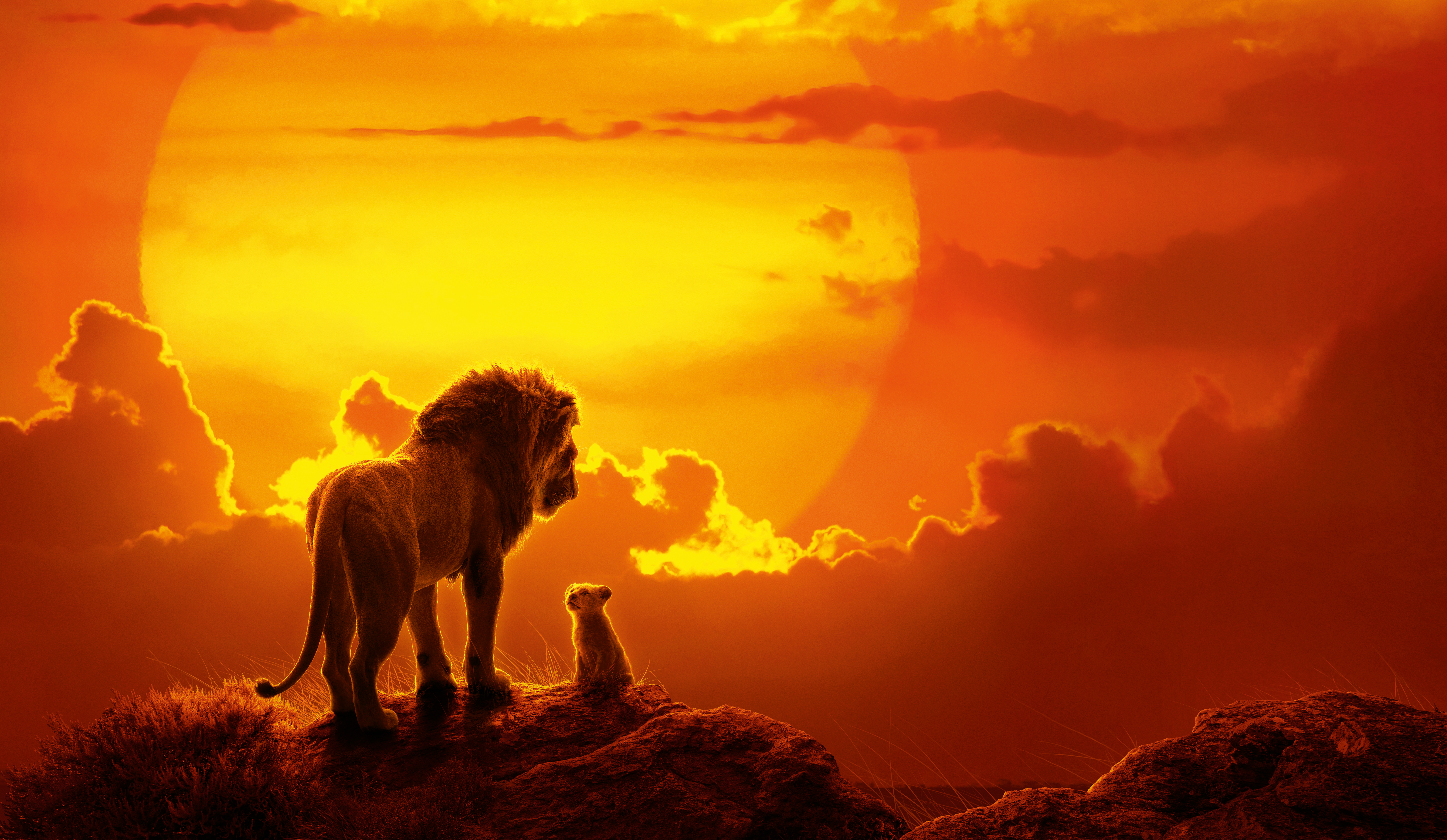 Simba from The Lion King HD Wallpaper