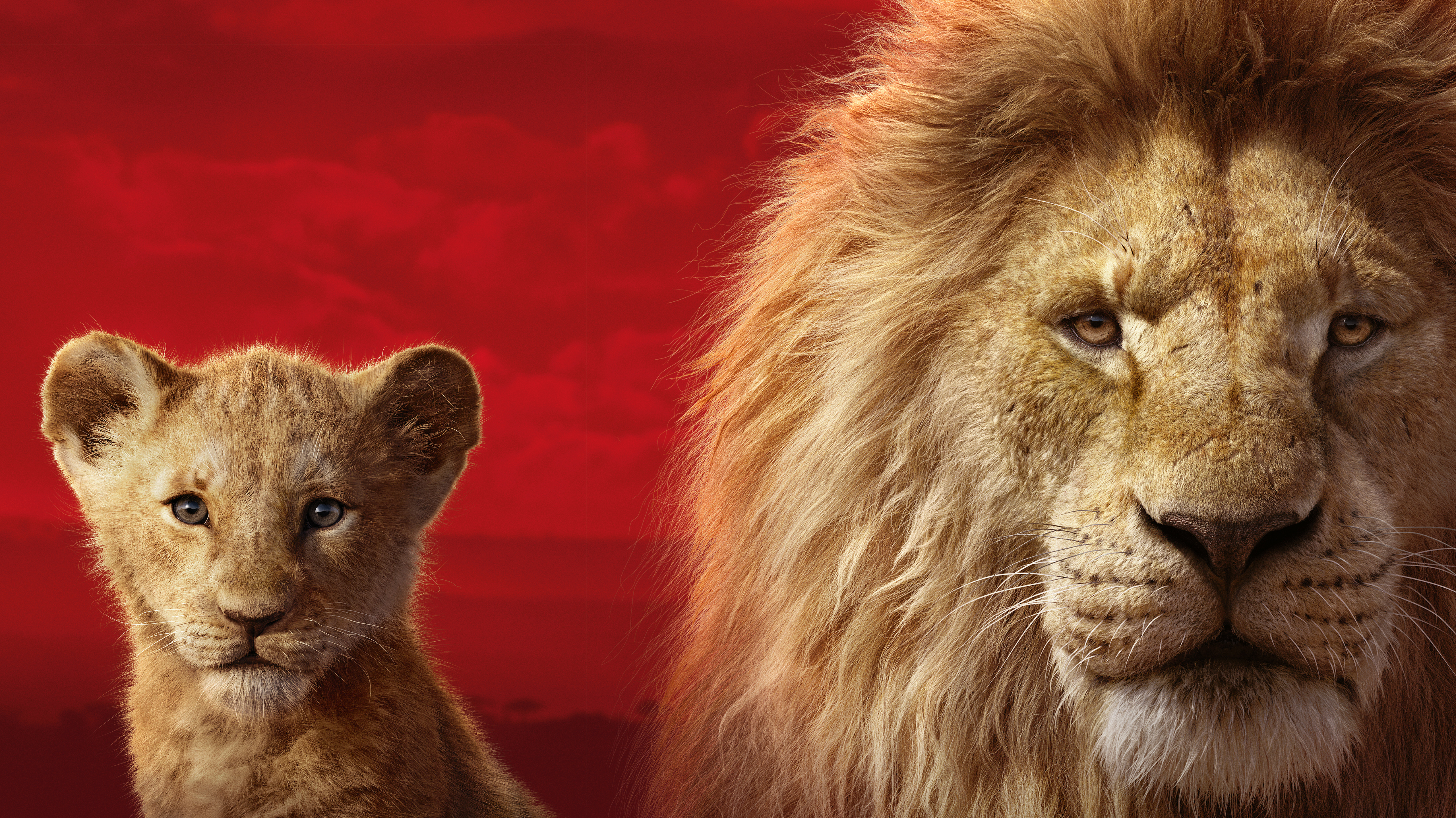 Simba from The Lion King HD Wallpaper