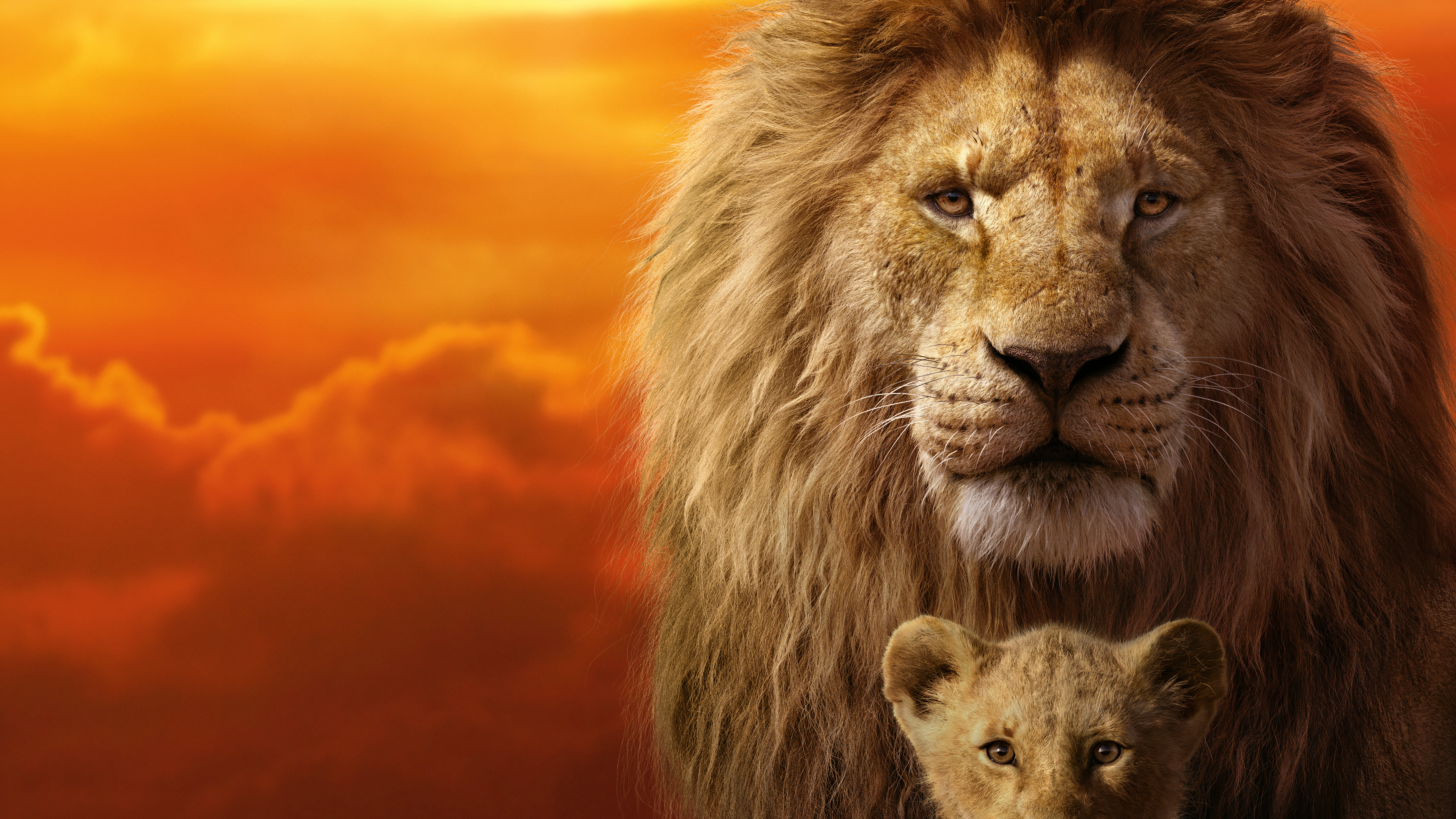 Simba from The Lion King HD Wallpaper