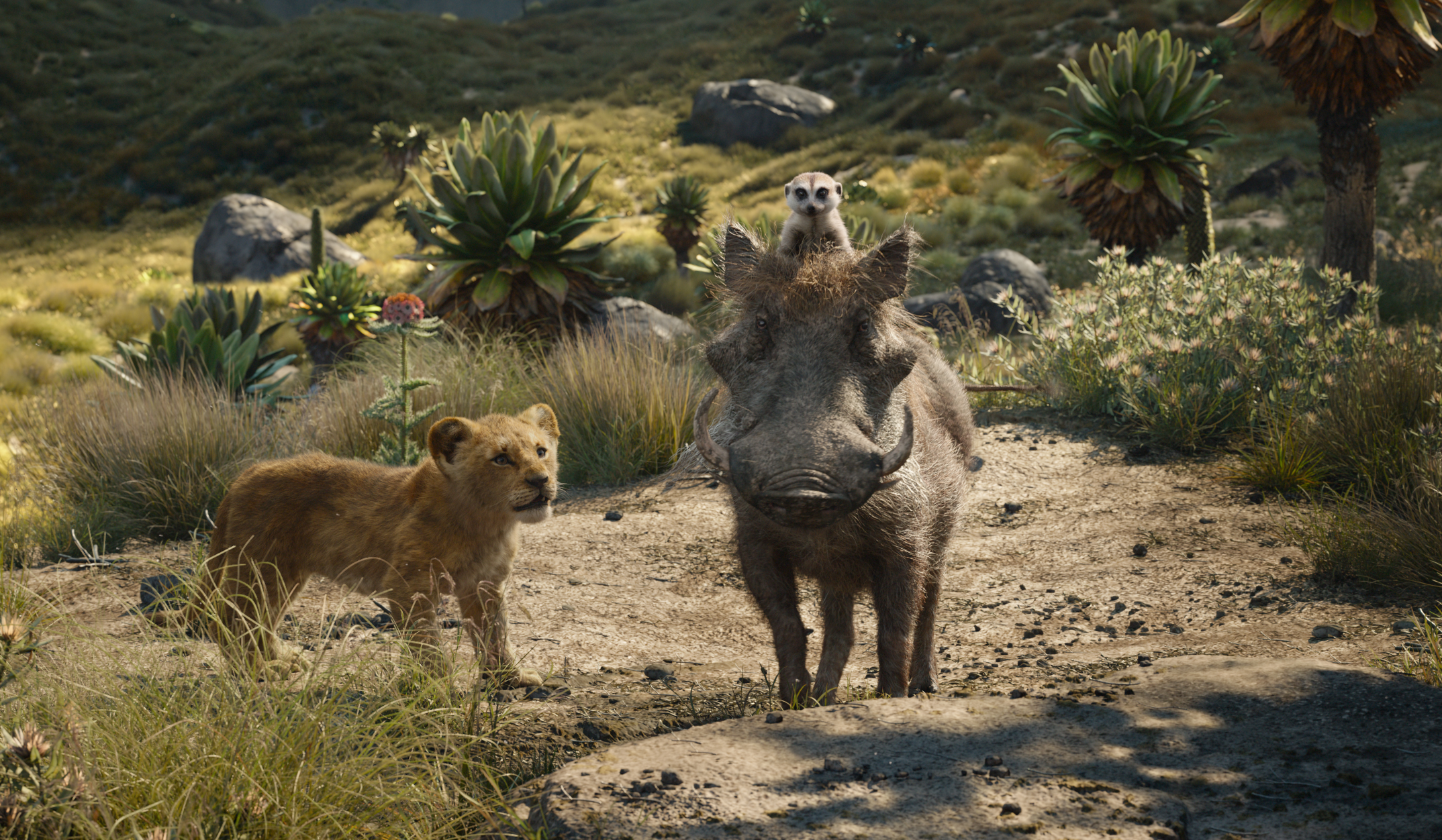 Simba, Timon, and Pumbaa in The Lion King HD Wallpaper