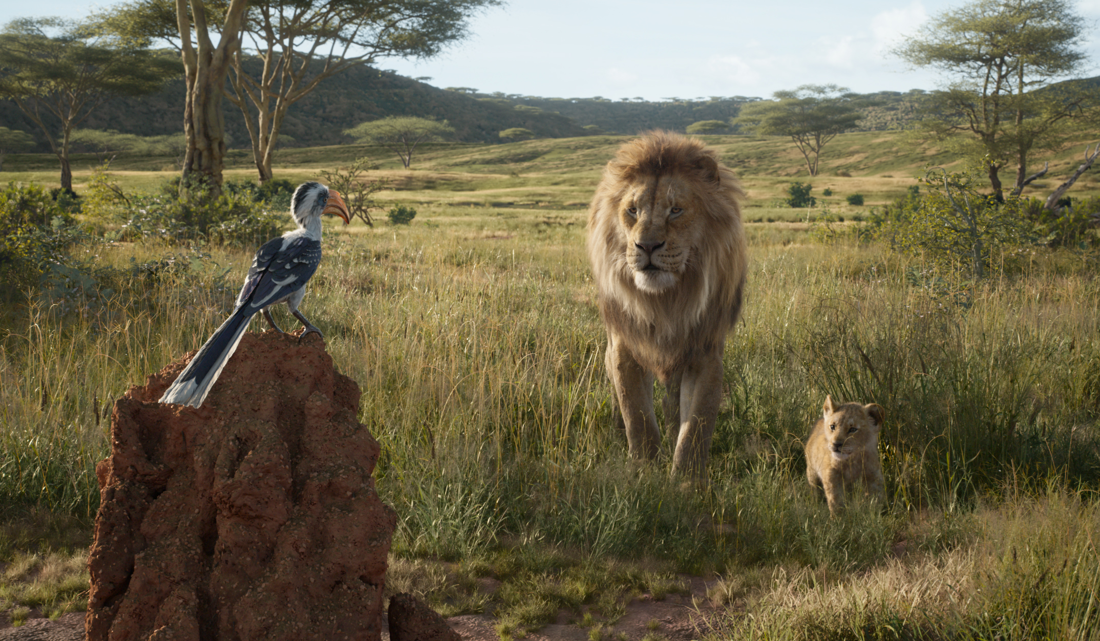 Simba and Zazu in The Lion King HD Wallpaper
