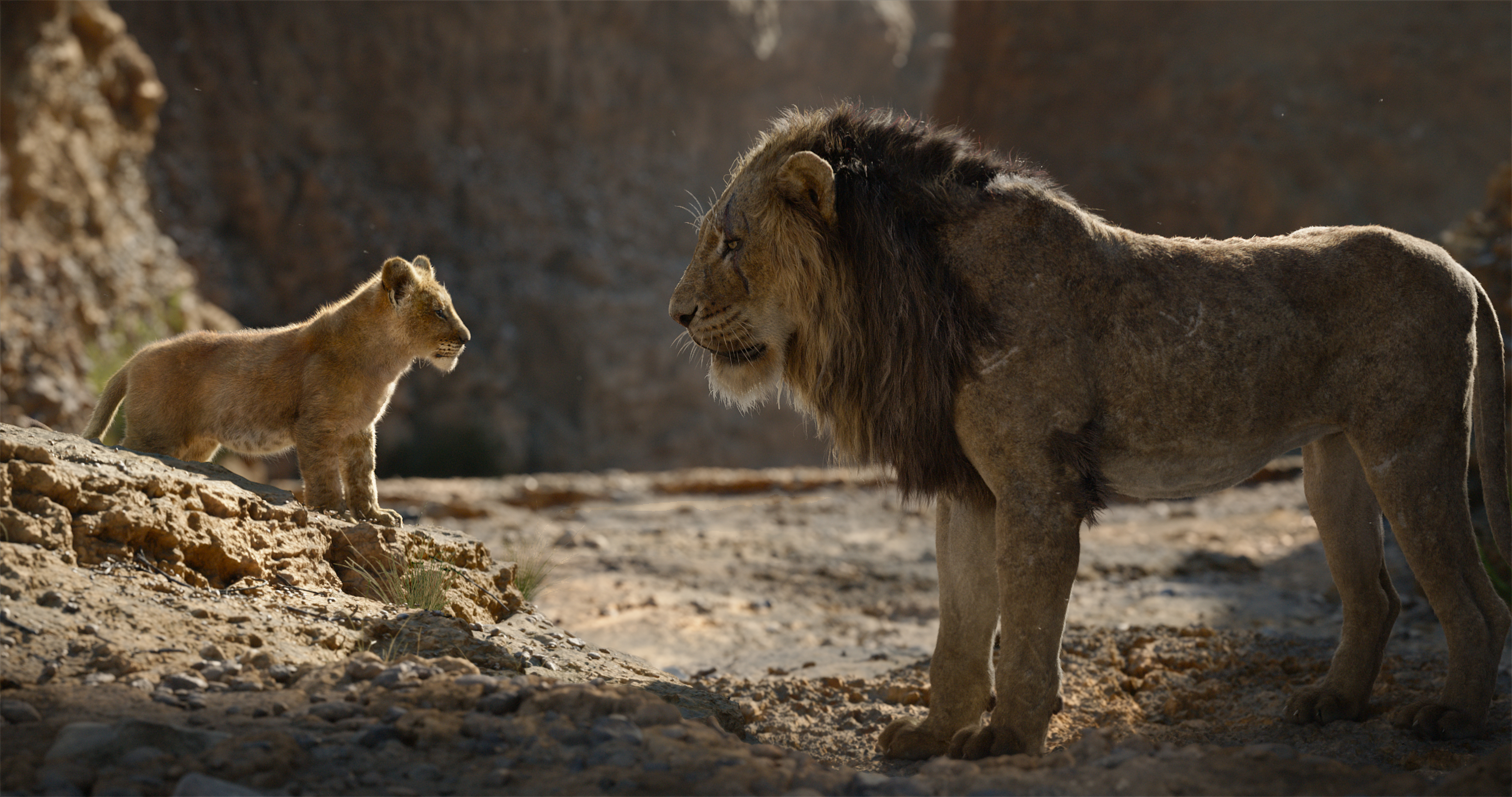 Simba from The Lion King HD Wallpaper