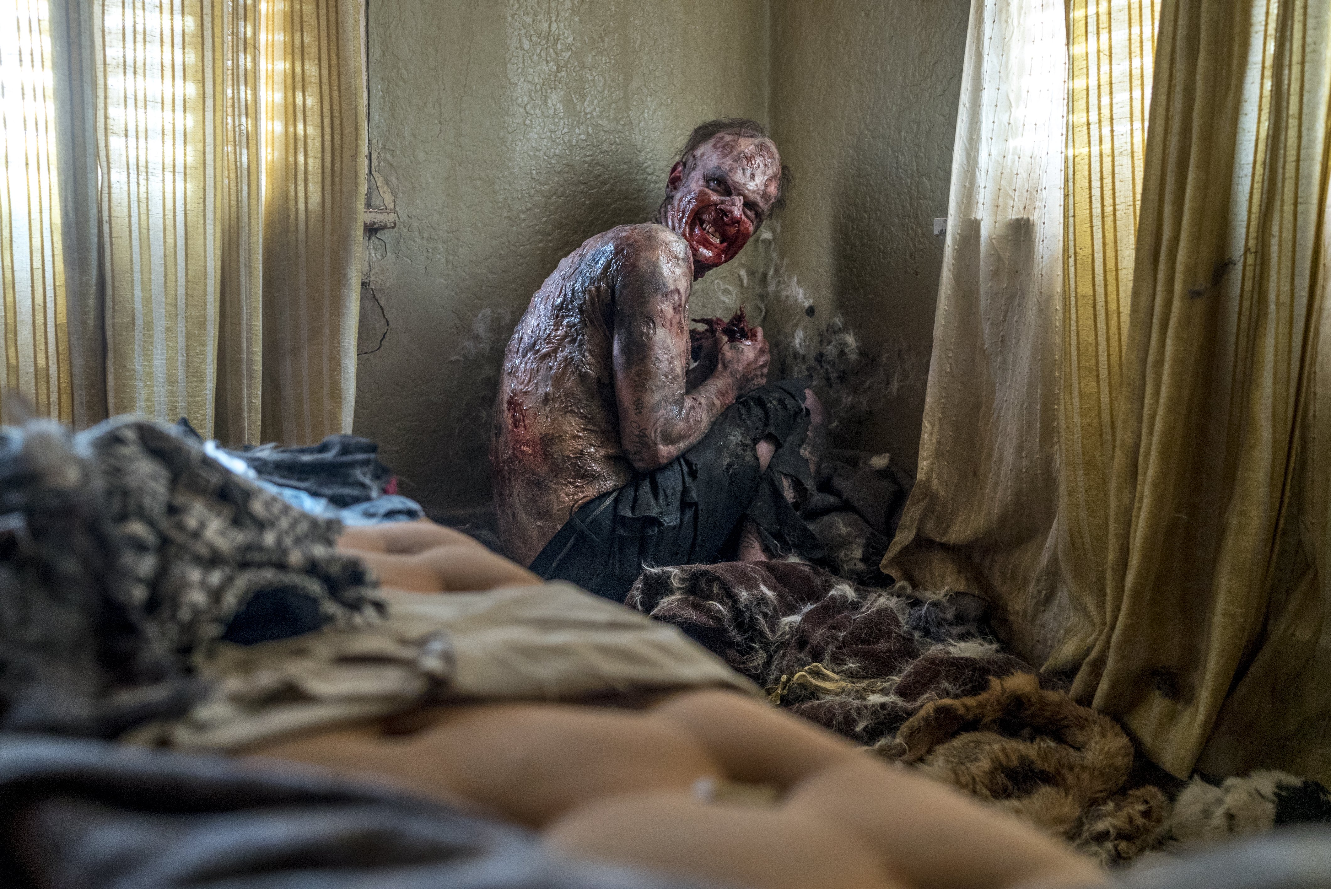 Cassidy from Preacher HD Wallpaper