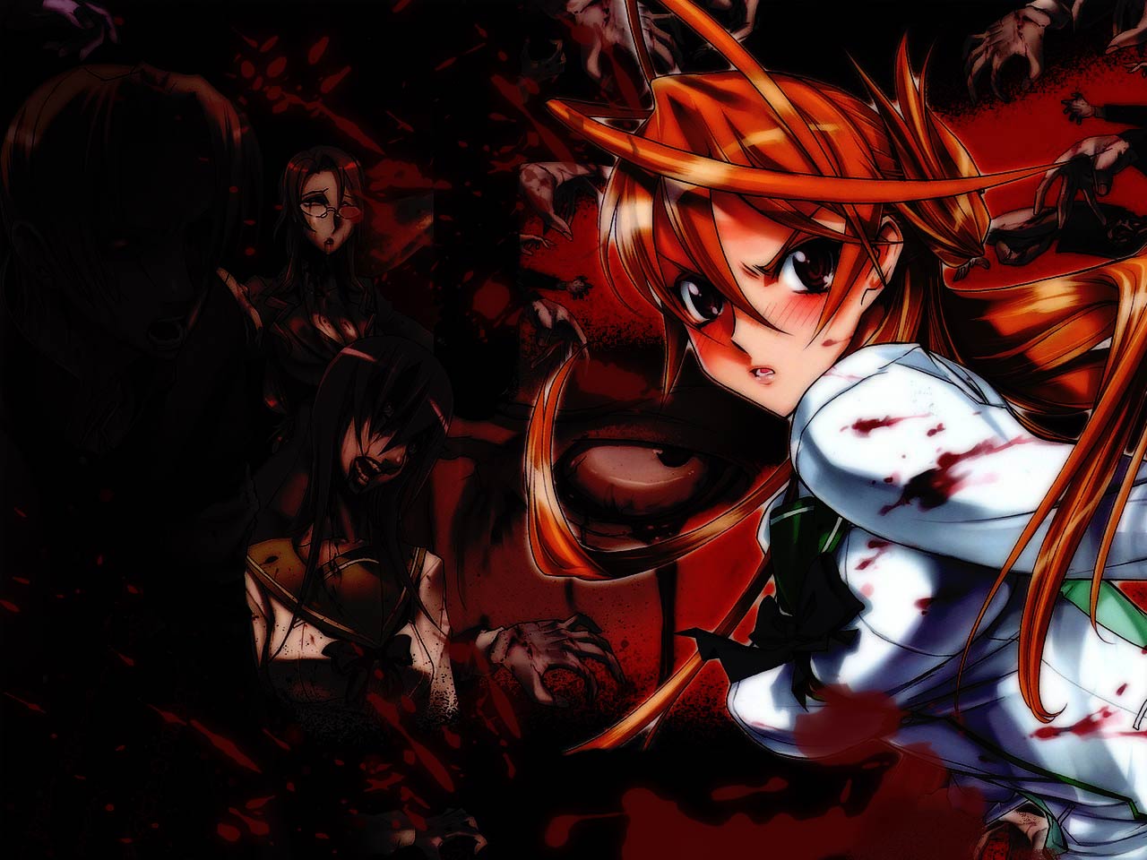 Rei Miyamoto from Highschool of the Dead HD Wallpaper
