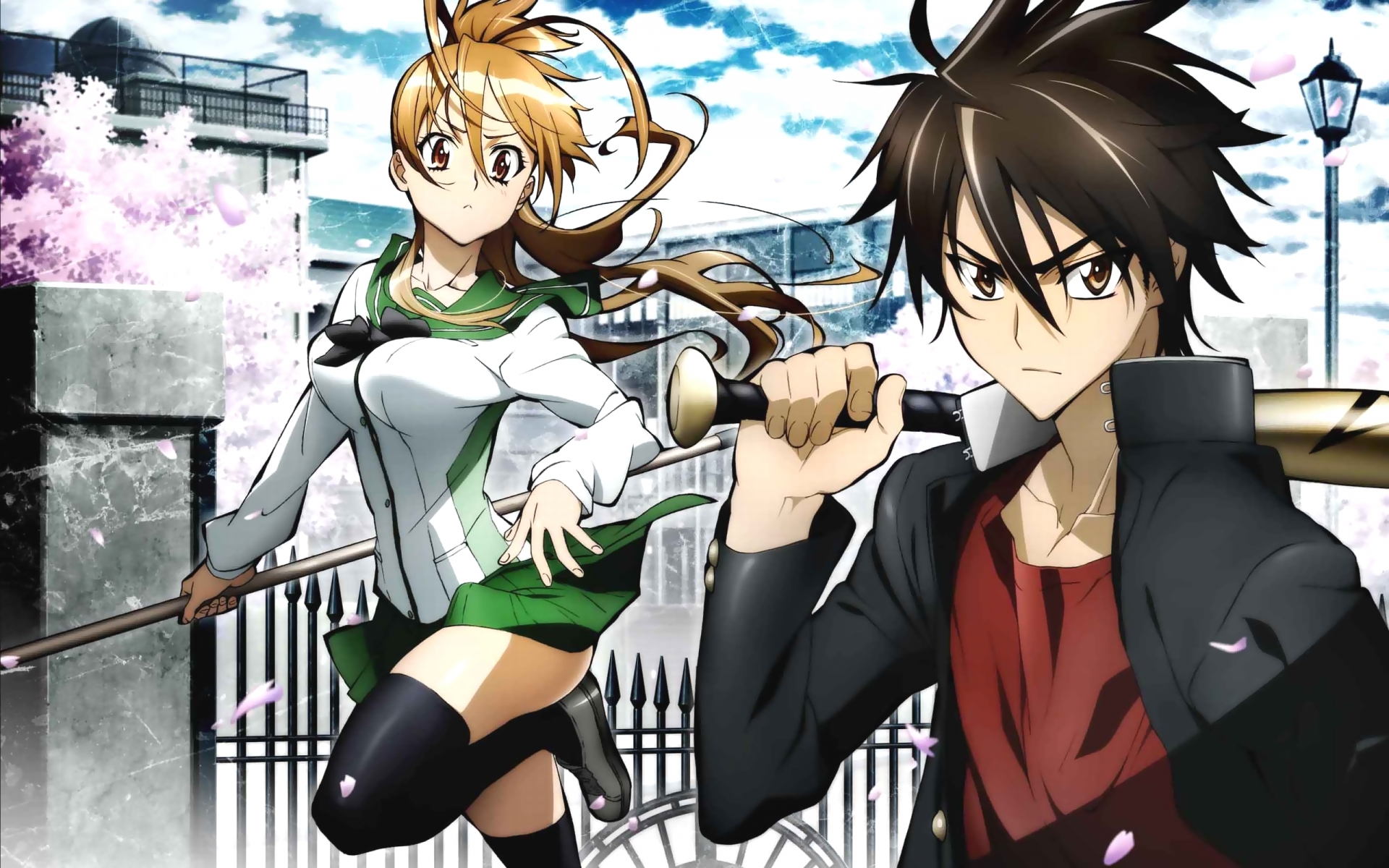 Rei Miyamoto from Highschool of the Dead HD Wallpaper