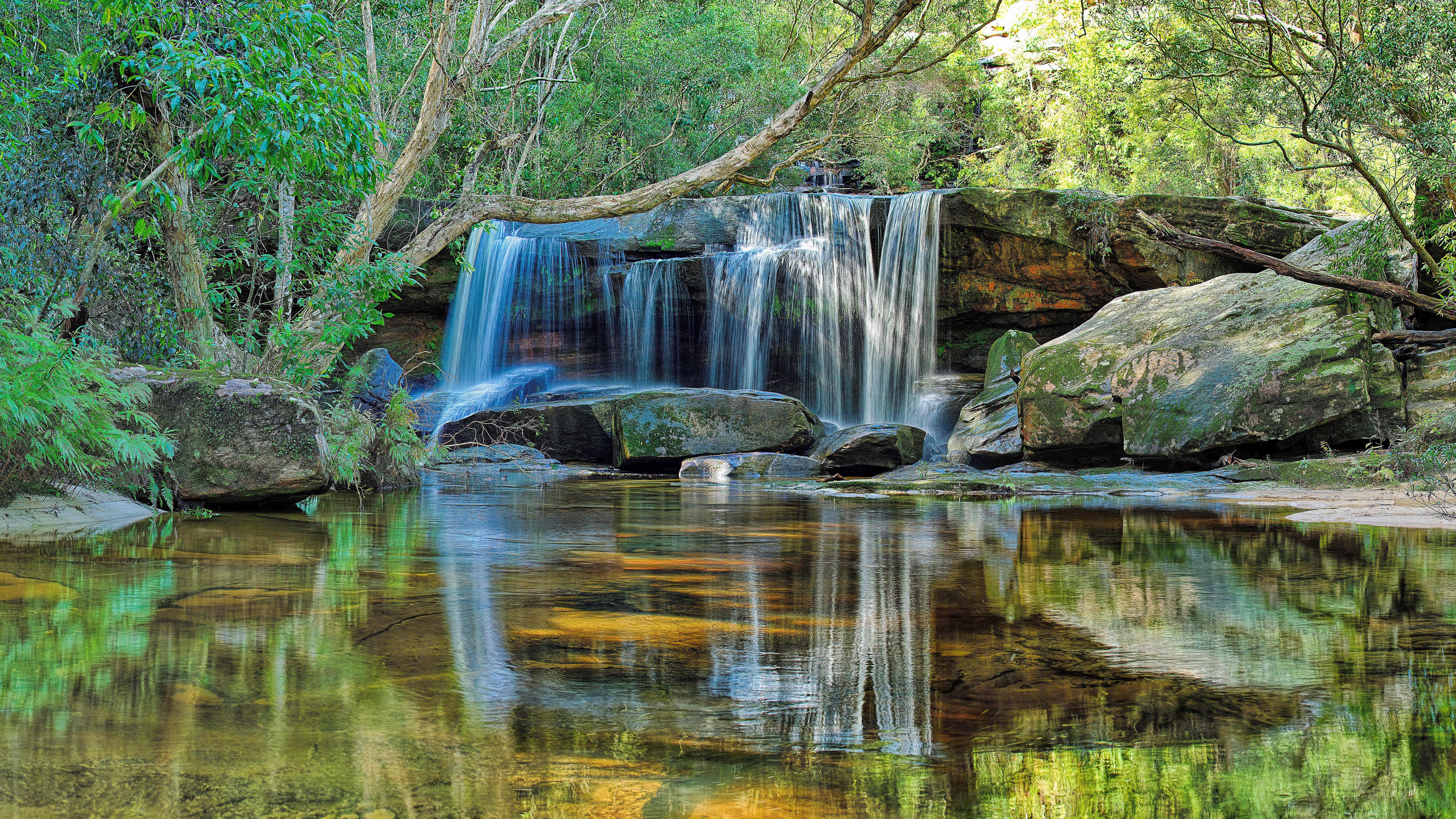 Waterfall cascading into a clear pool in a forest HD Wallpaper