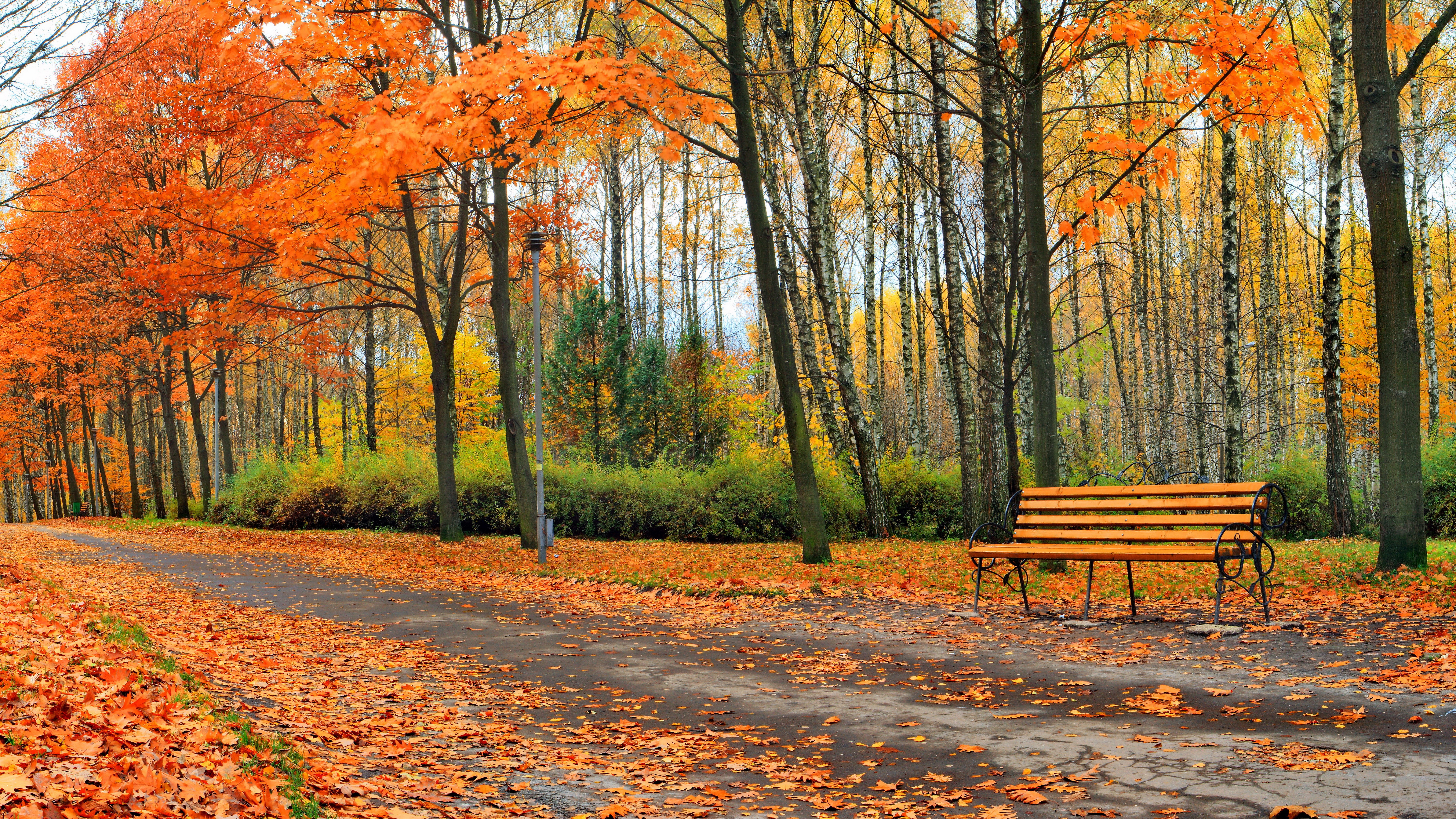 Autumn park with a bench and fallen leaves HD Wallpaper