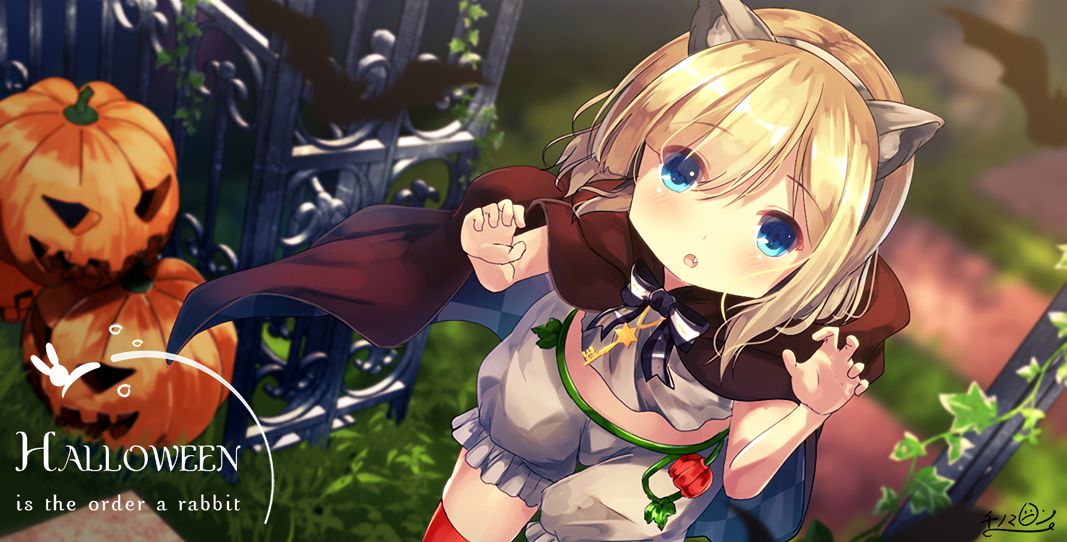 Sharo Kirima from Is the Order a Rabbit? Halloween HD Wallpaper