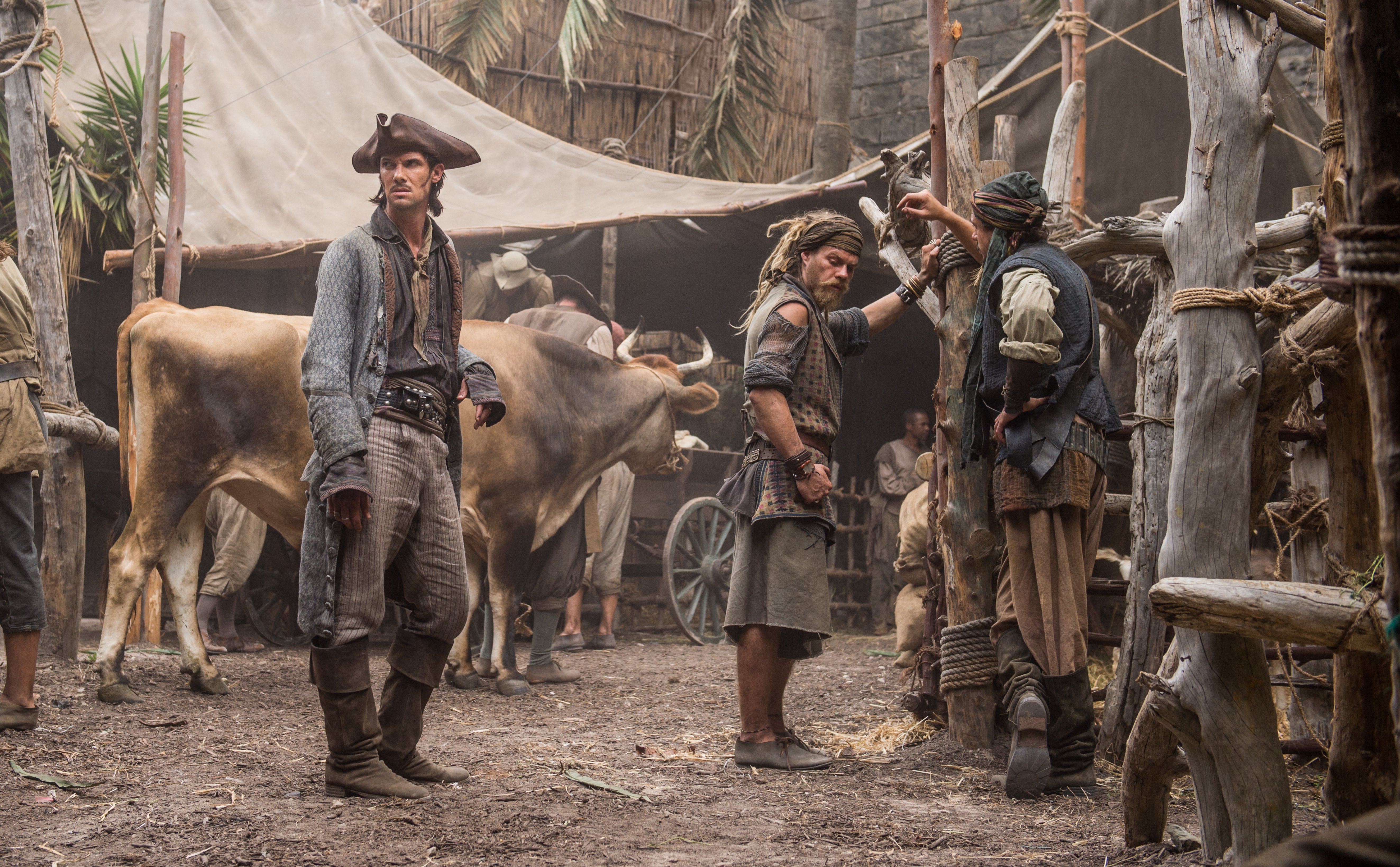 Man in pirate hat and other pirates with cattle HD Wallpaper