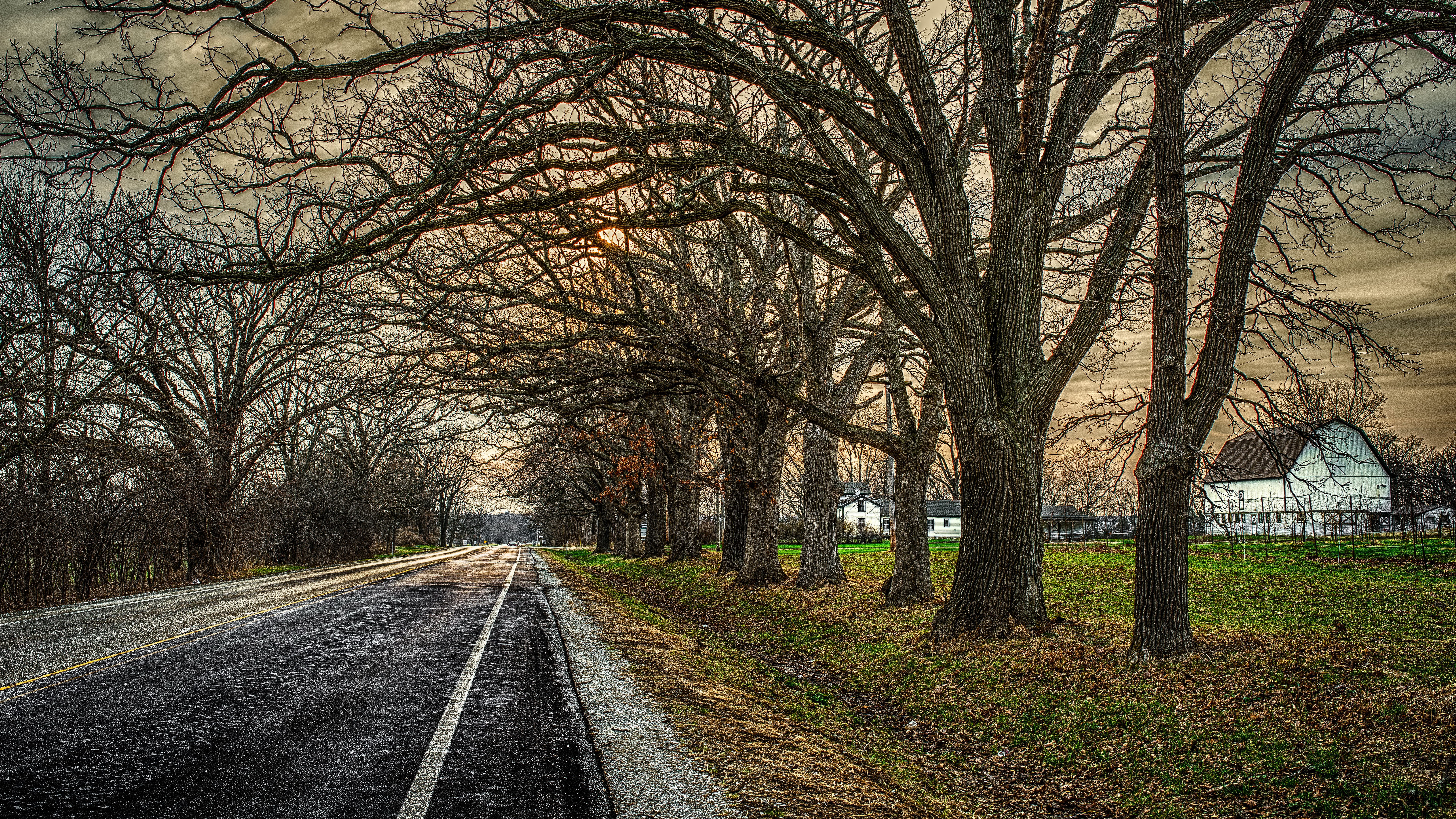 Road lined with trees and a white barn HD Wallpaper