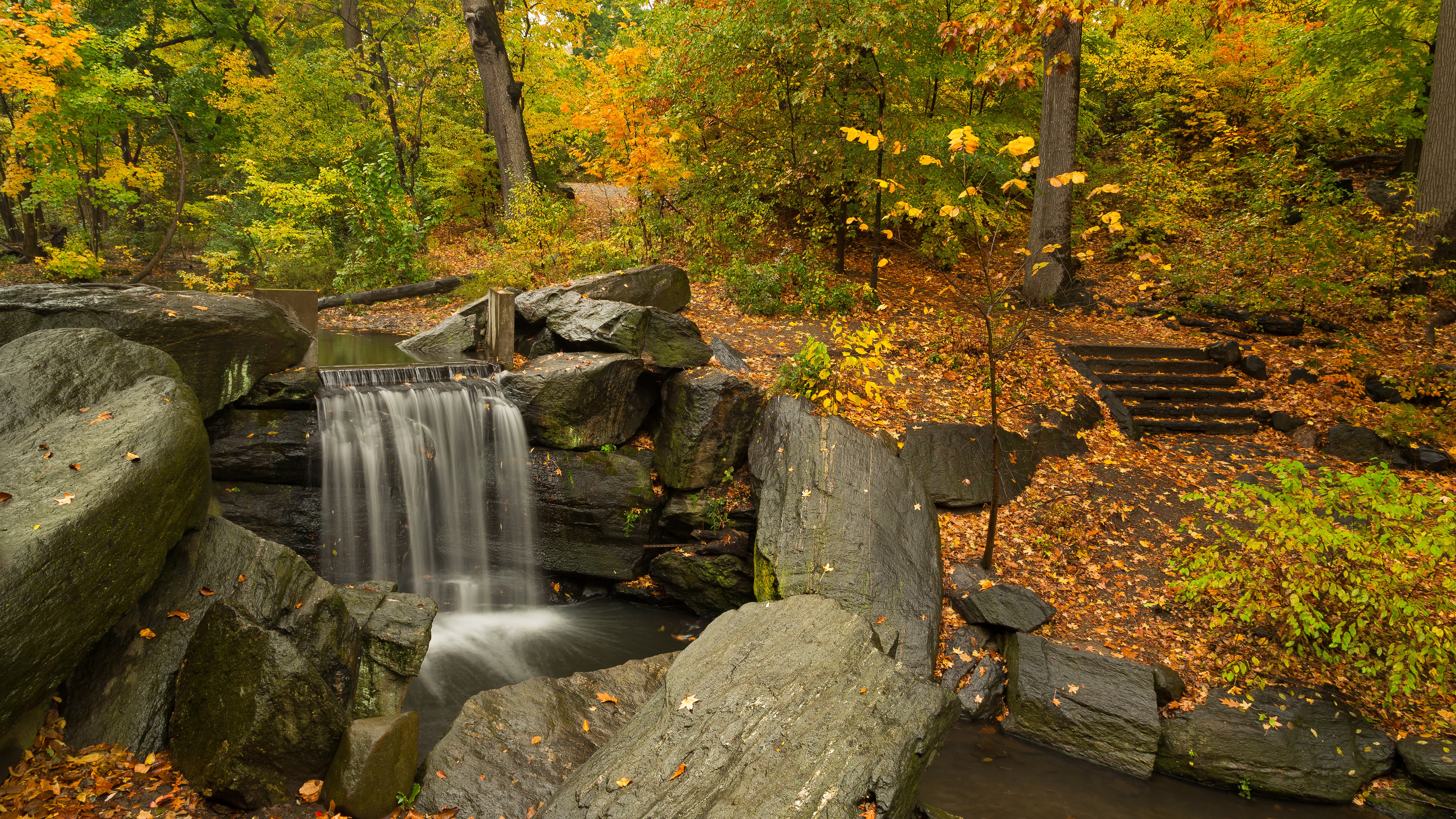 Waterfall in a forest during autumn HD Wallpaper