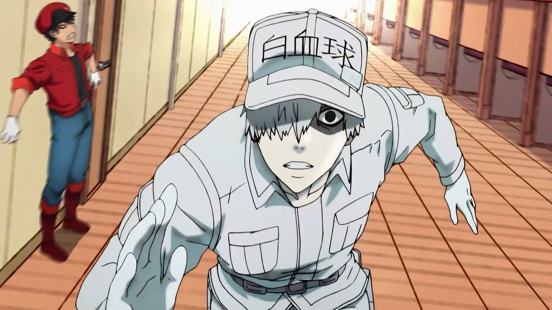 U-1146 from Cells At Work! in a hallway HD Wallpaper