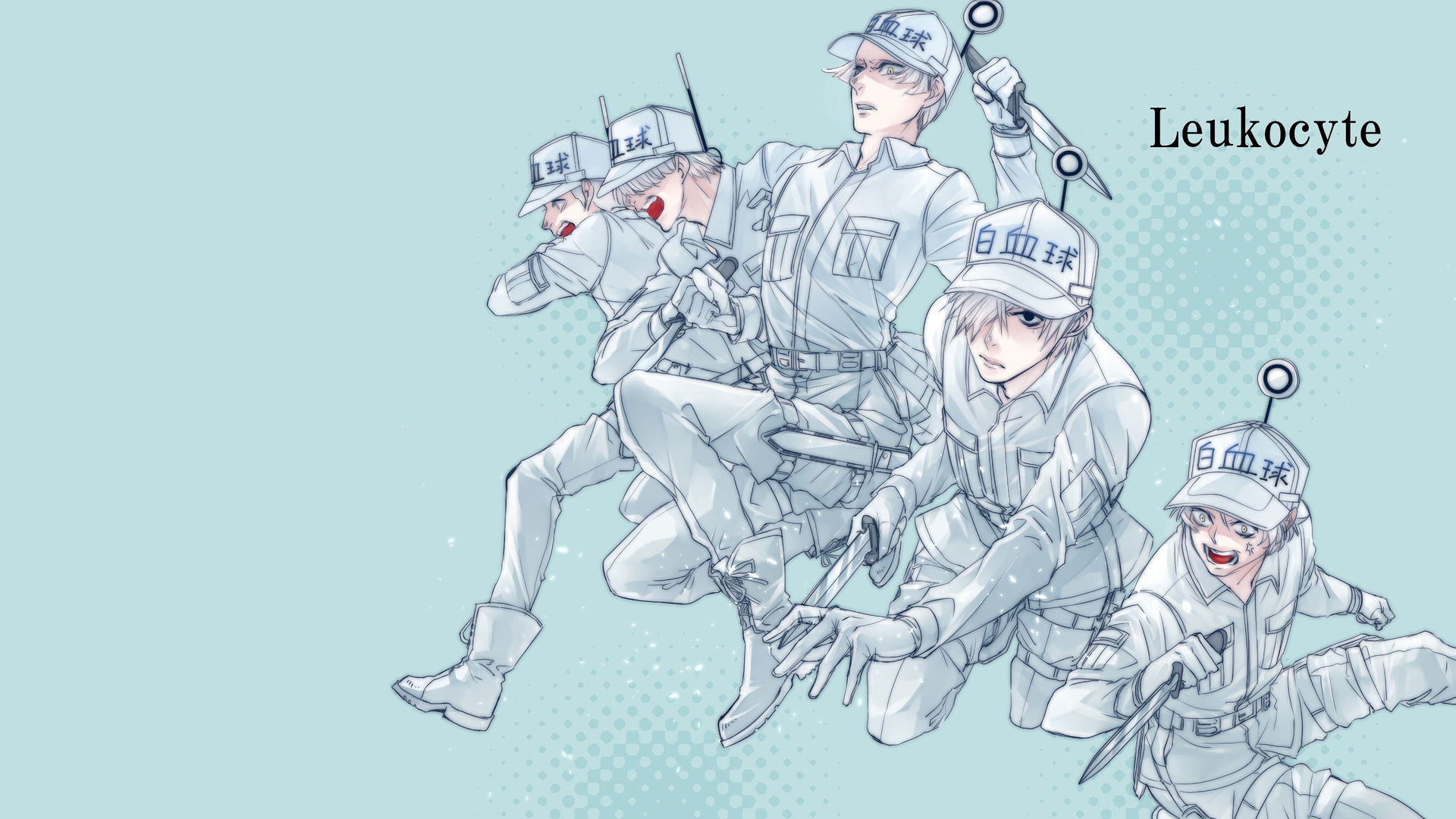 Leukocytes from Cells At Work! HD Wallpaper