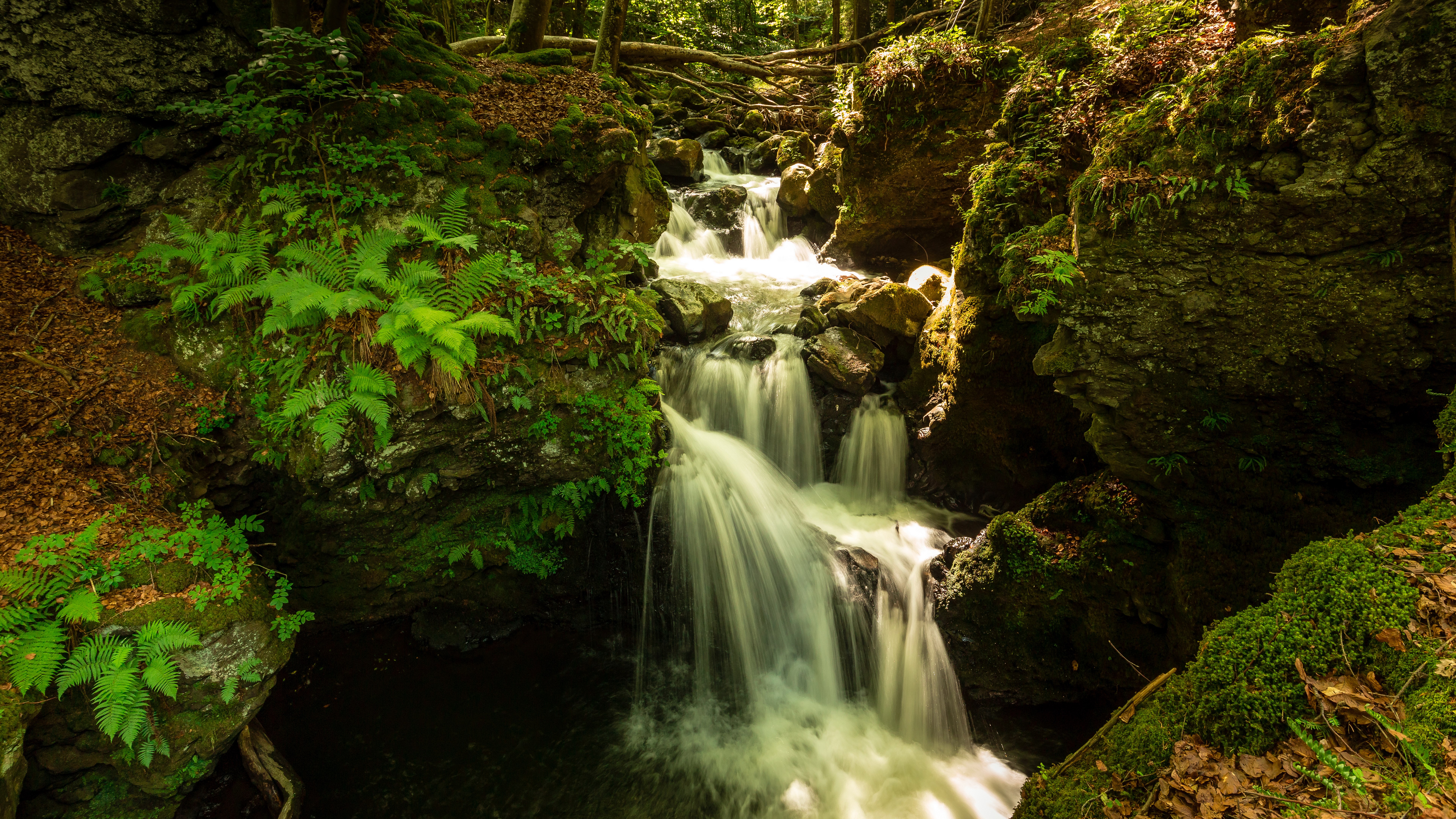 Waterfall cascading over rocks in a forest HD Wallpaper