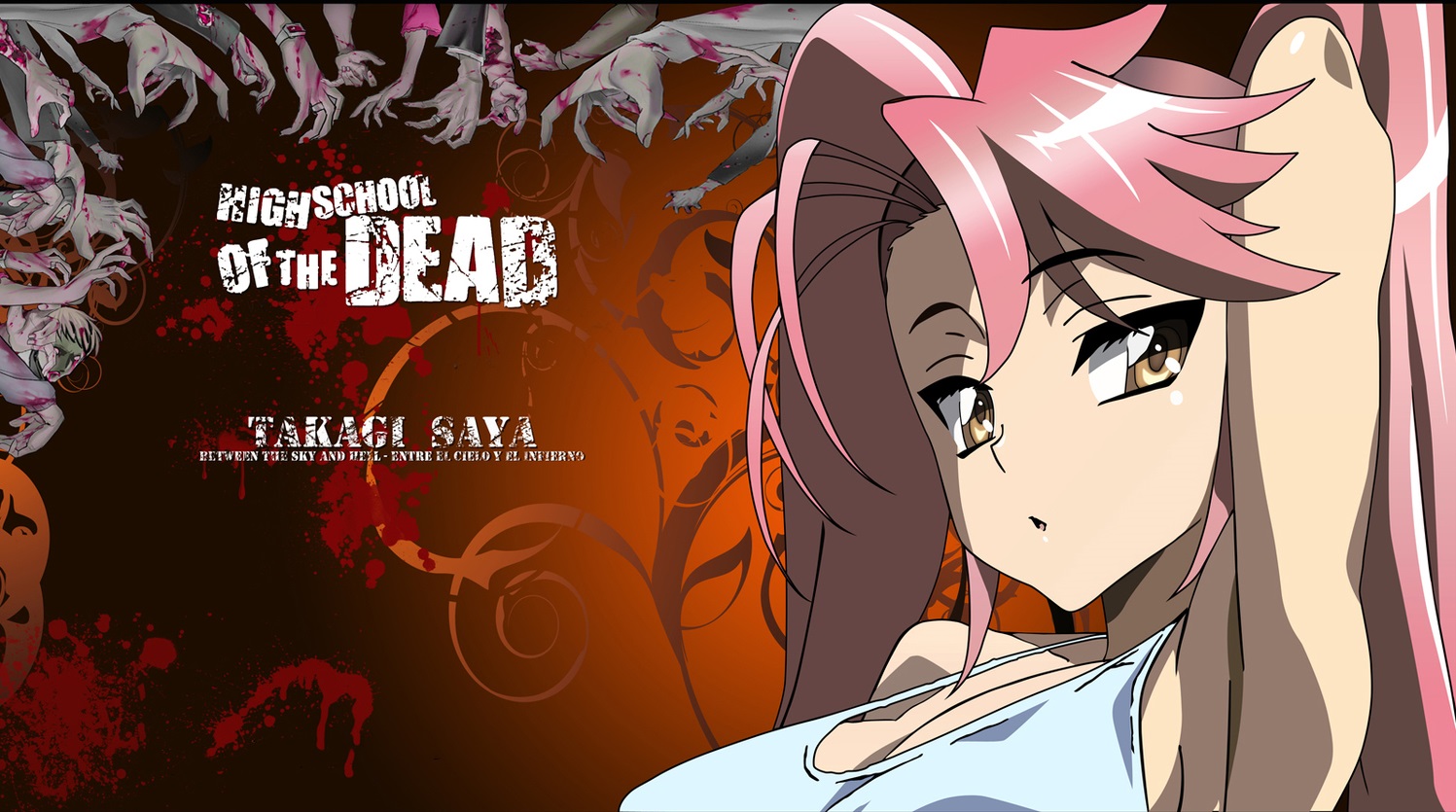 Saya Takagi from Highschool of the Dead HD Wallpaper