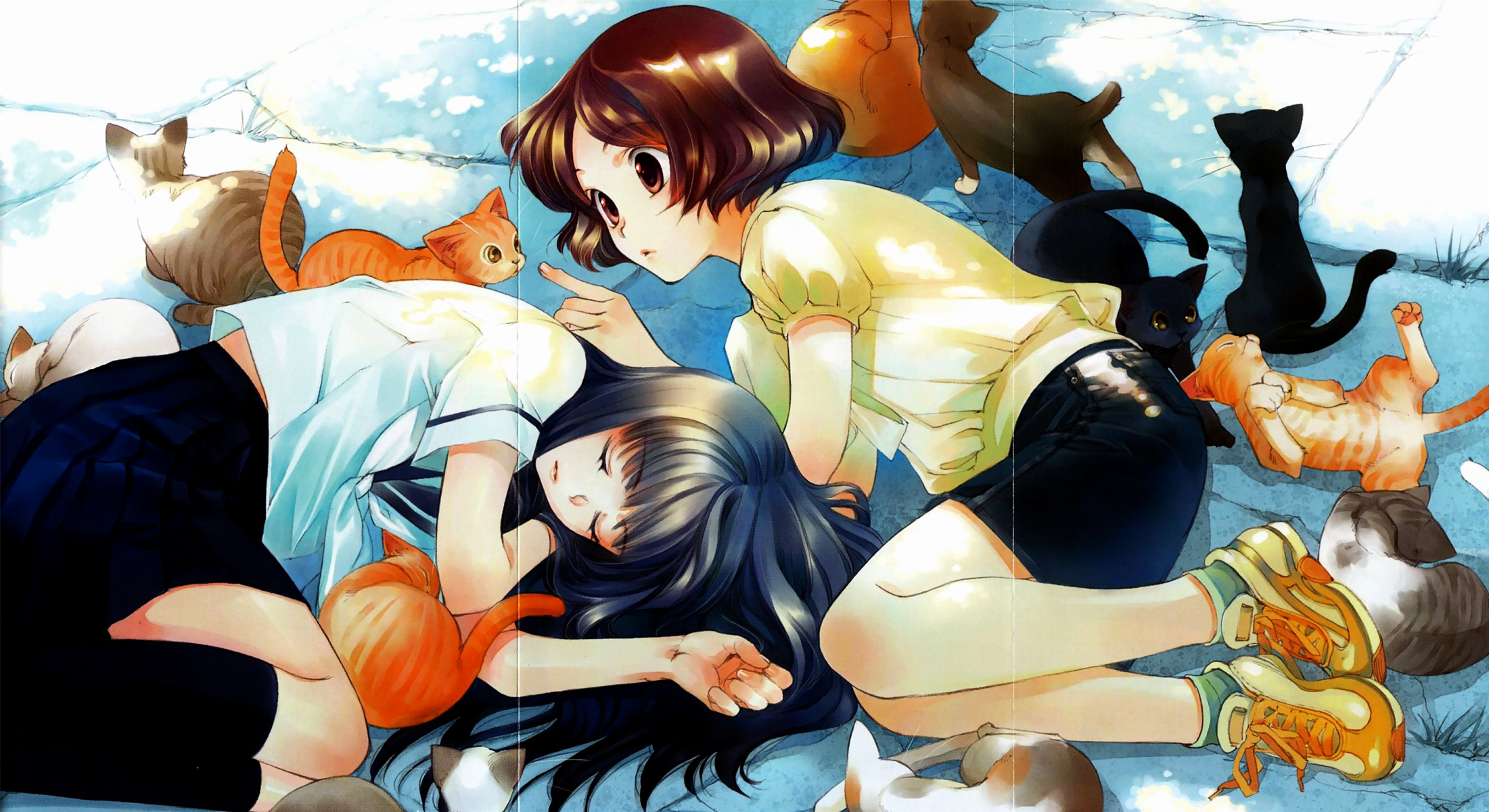 Misora Haruki with cats HD Wallpaper