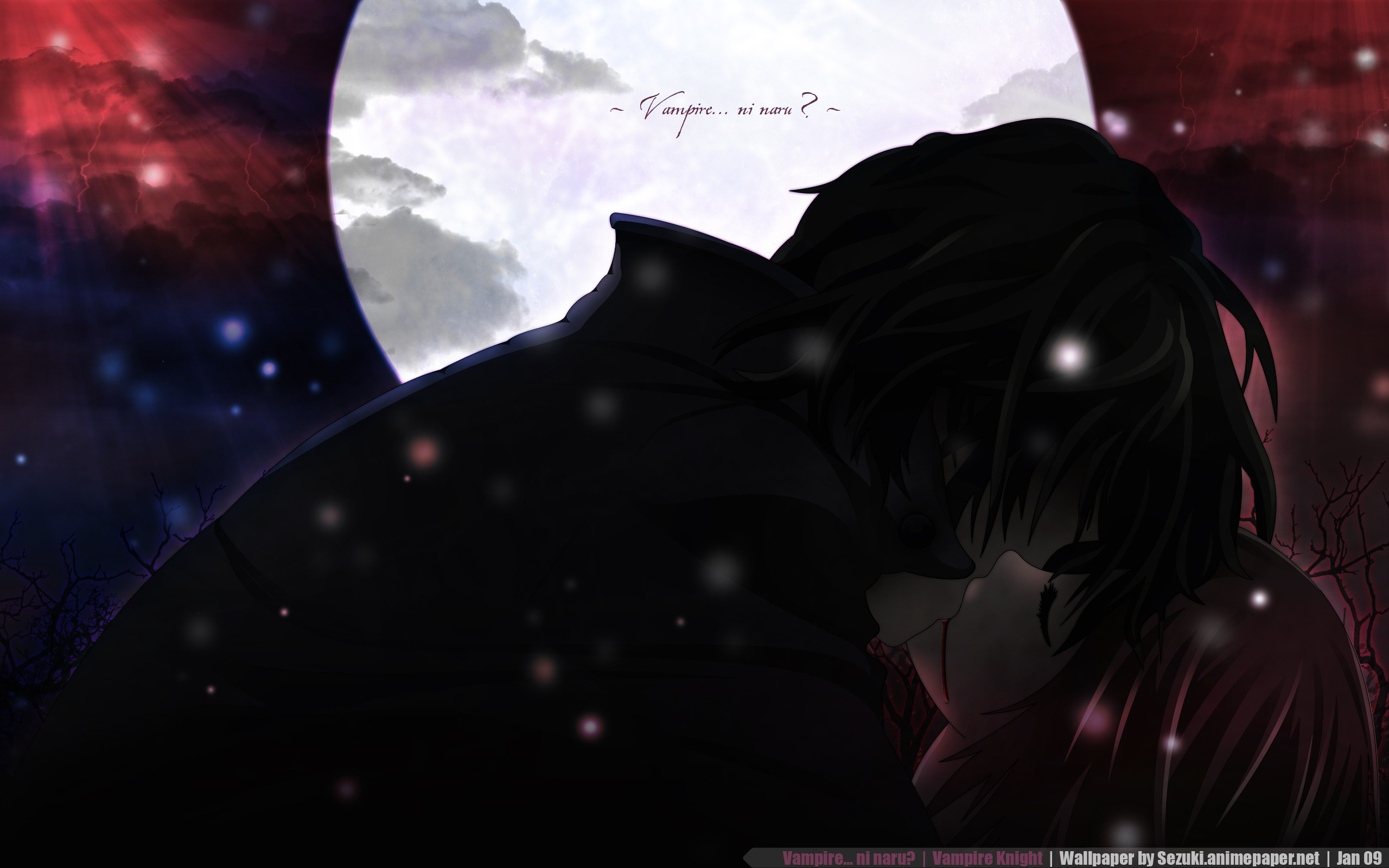 Vampire Knight Yuki Cross HD Wallpaper