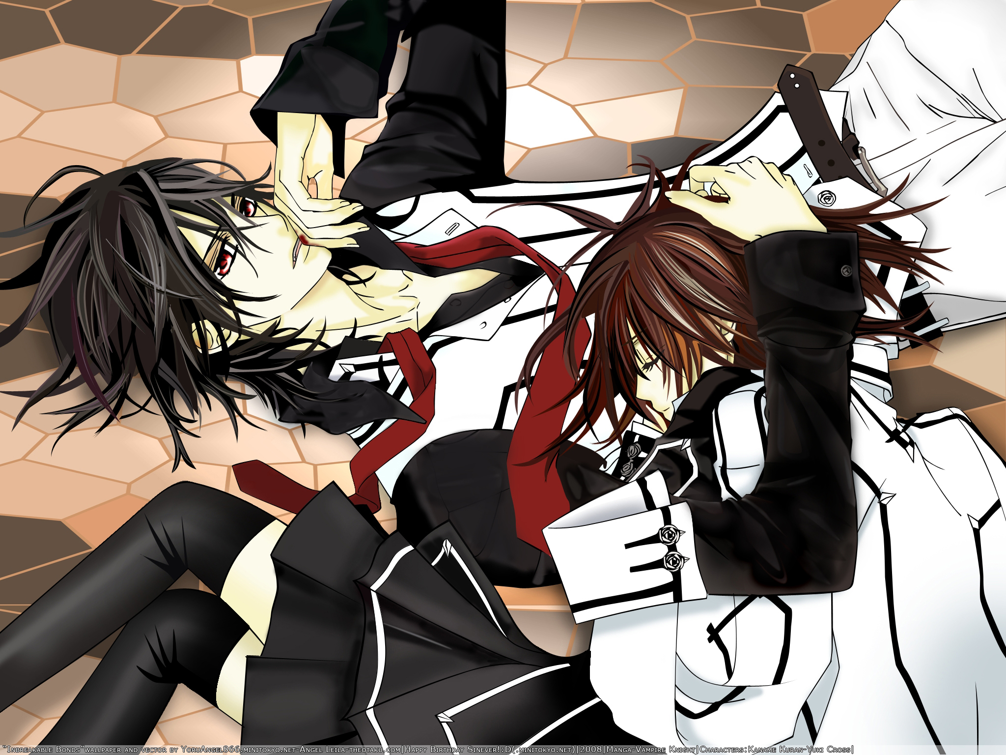 Zero Kiryu and Yuki Cross from Vampire Knight HD Wallpaper
