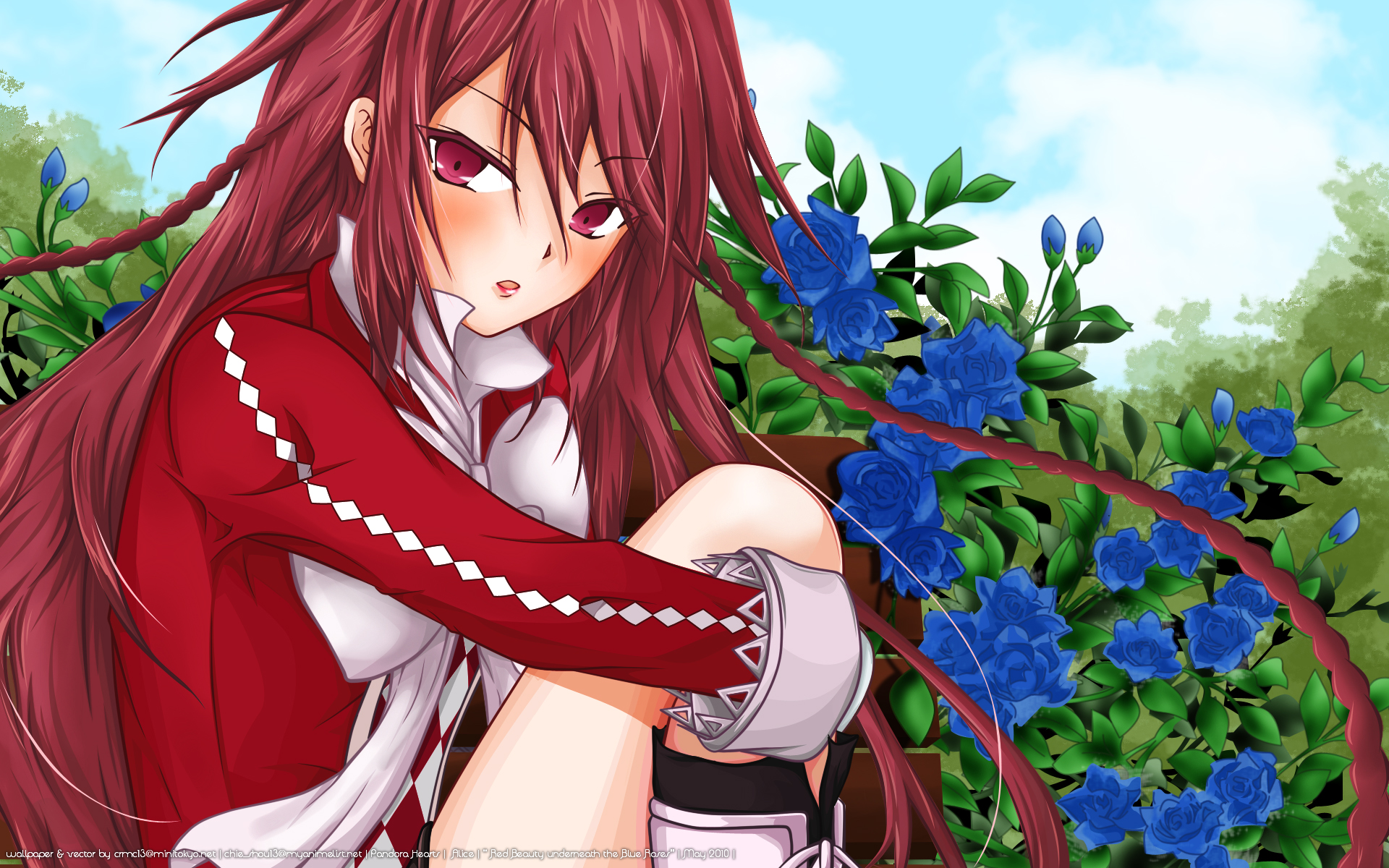 Alice Baskerville from Pandora Hearts HD Wallpaper