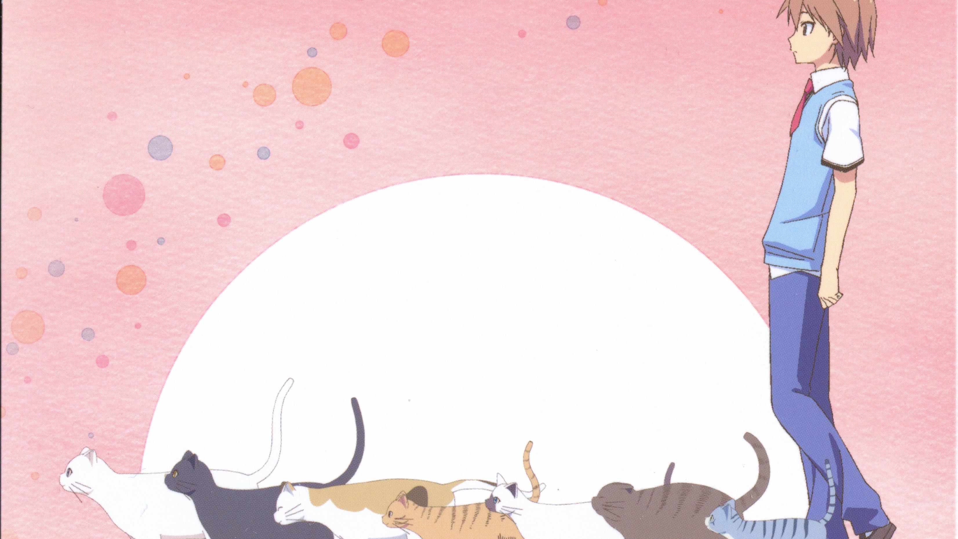 Sorata Kanda with cats HD Wallpaper