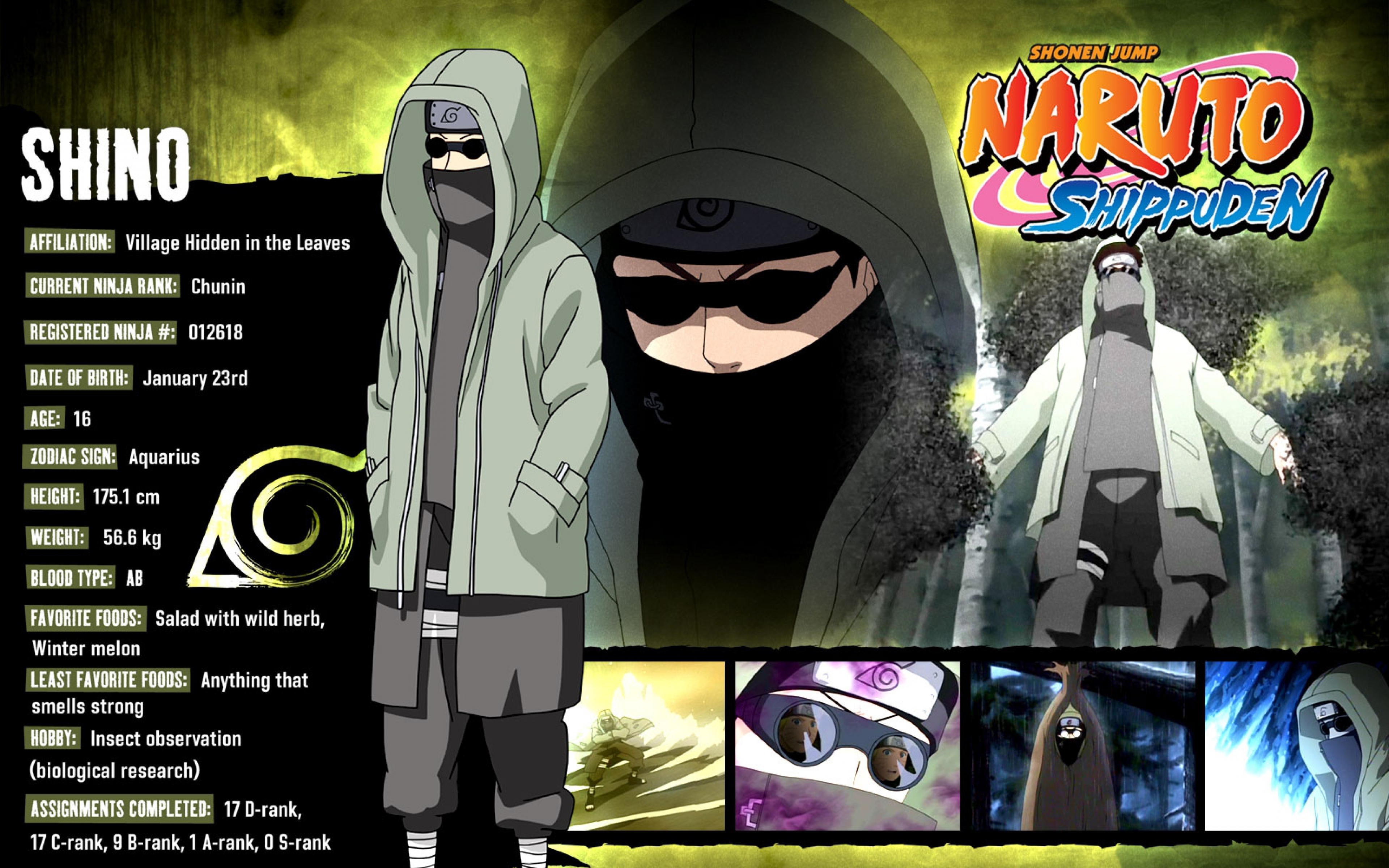 Shino from Naruto Shippuden character profile HD Wallpaper