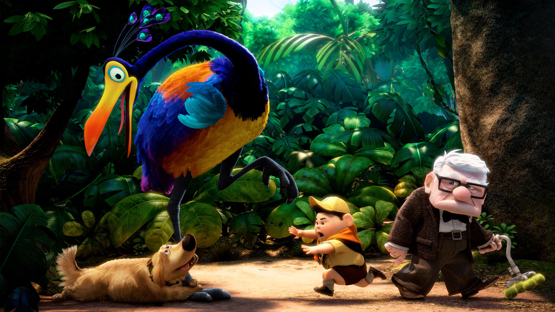 Carl Fredricksen and Kevin from Up HD Wallpaper