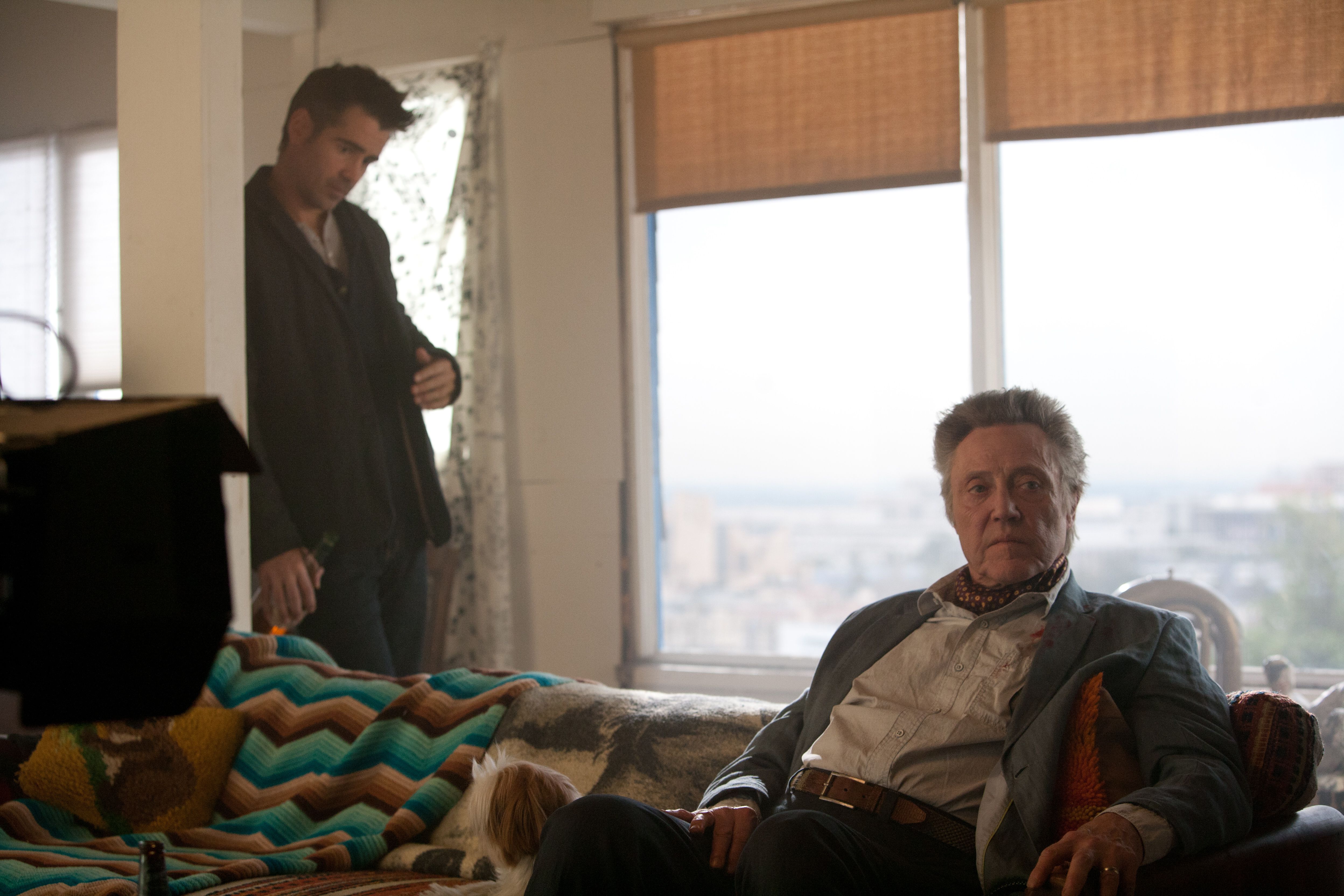 Marty from Seven Psychopaths HD Wallpaper