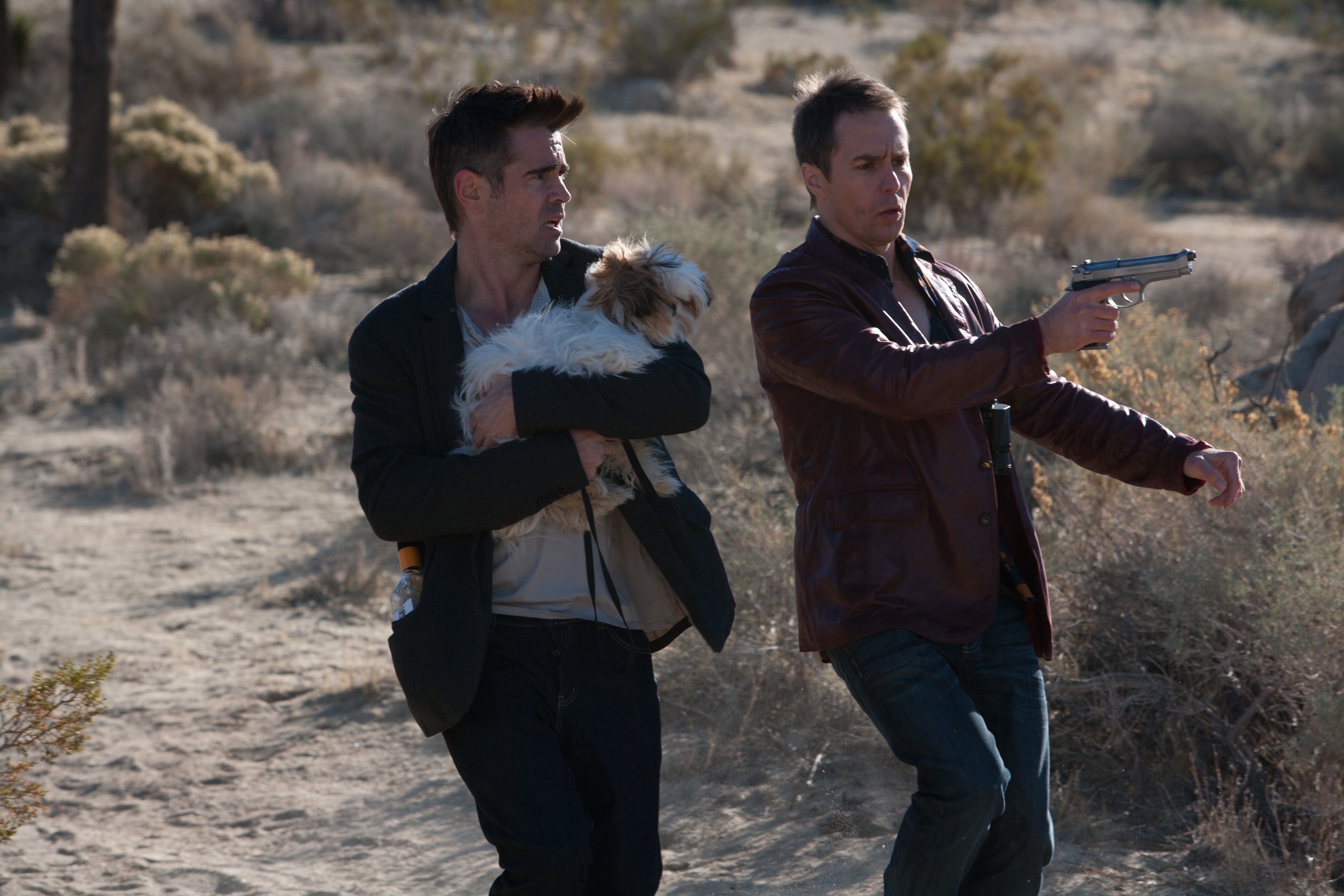 Marty from Seven Psychopaths HD Wallpaper