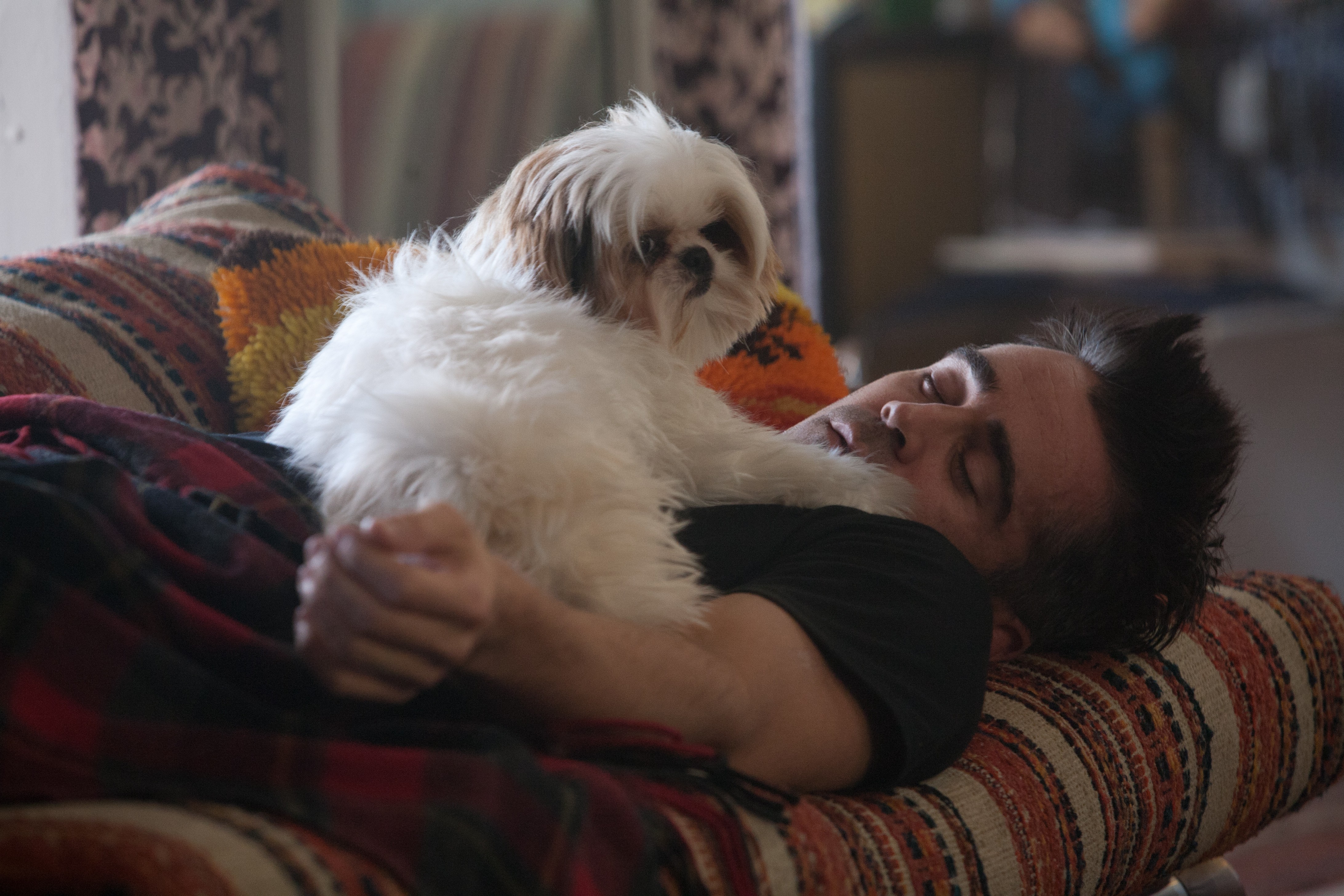 Marty from Seven Psychopaths sleeping with a dog HD Wallpaper