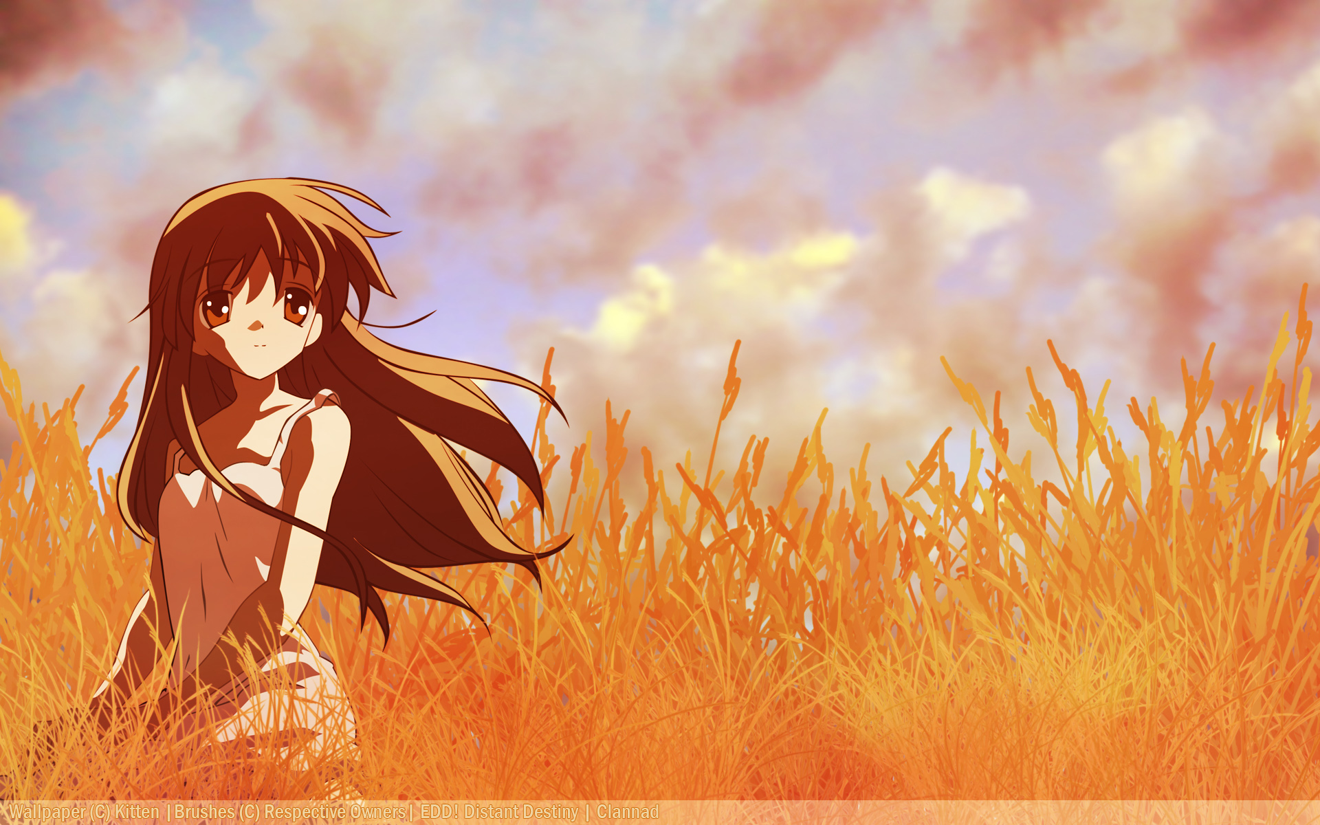 Girl from the Illusionary World in a Wheat Field HD Wallpaper