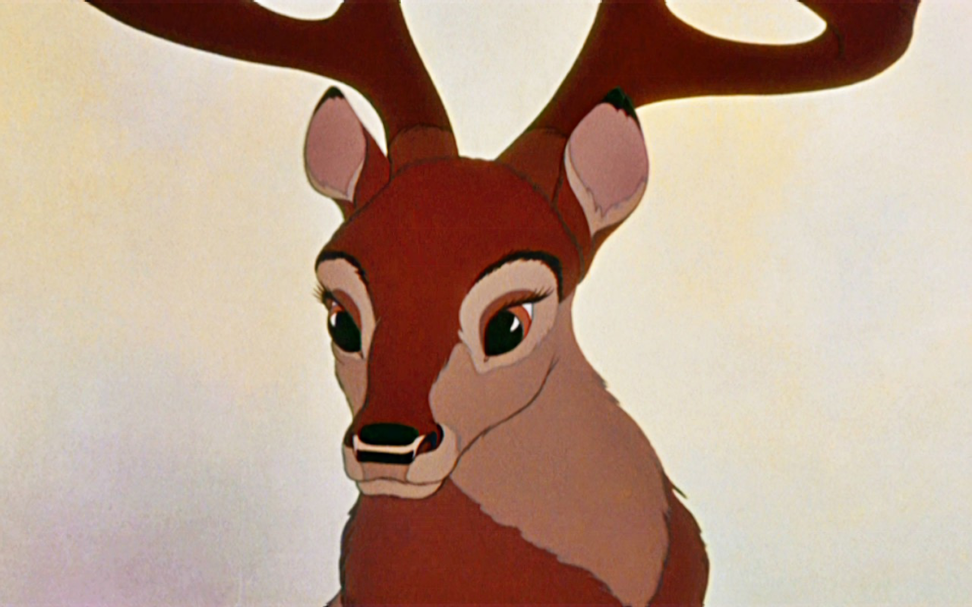 Bambi HD Wallpaper