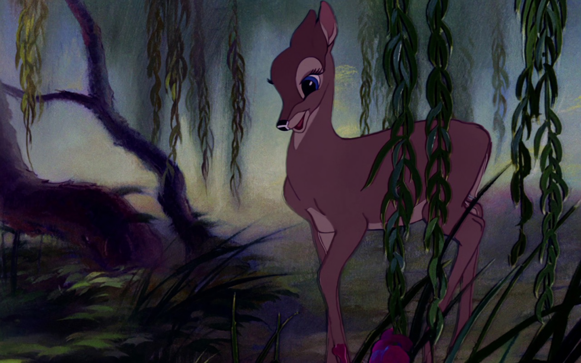 Bambi HD Wallpaper