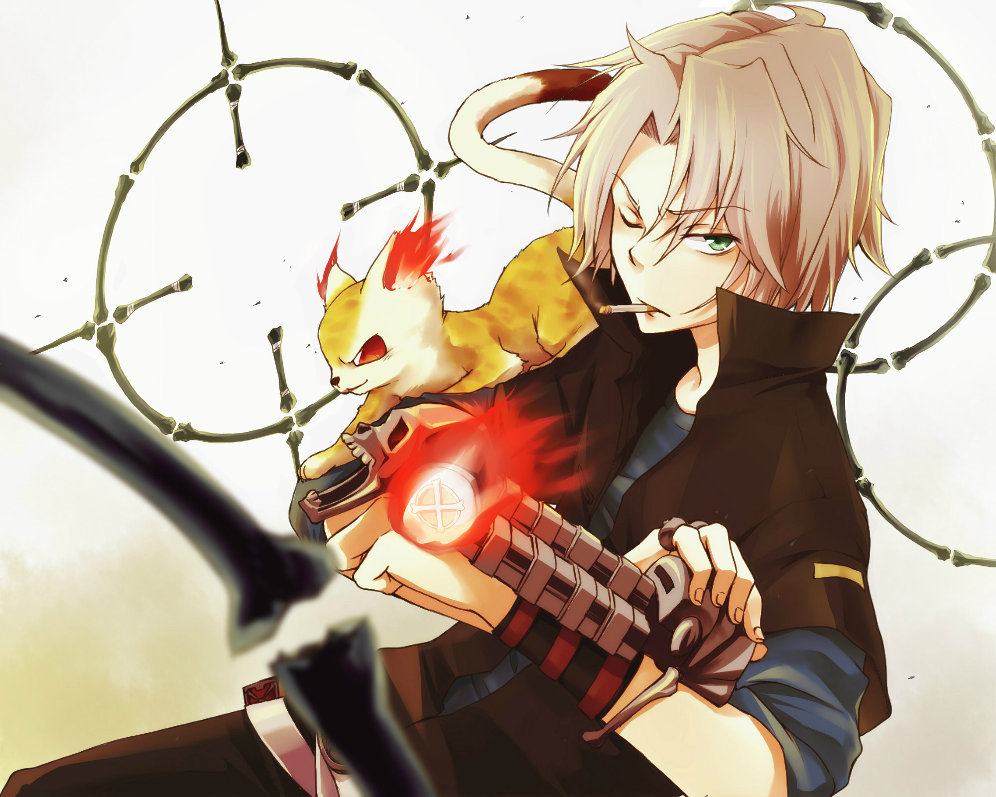 Hayato Gokudera with a cat and a gun HD Wallpaper