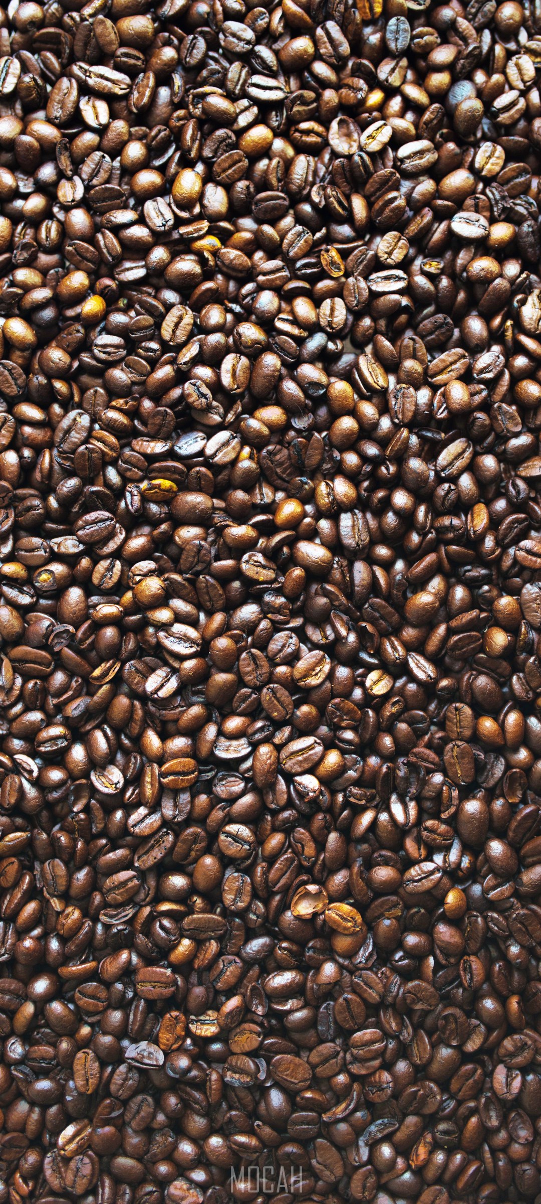 Roasted Coffee Beans HD Phone Wallpaper