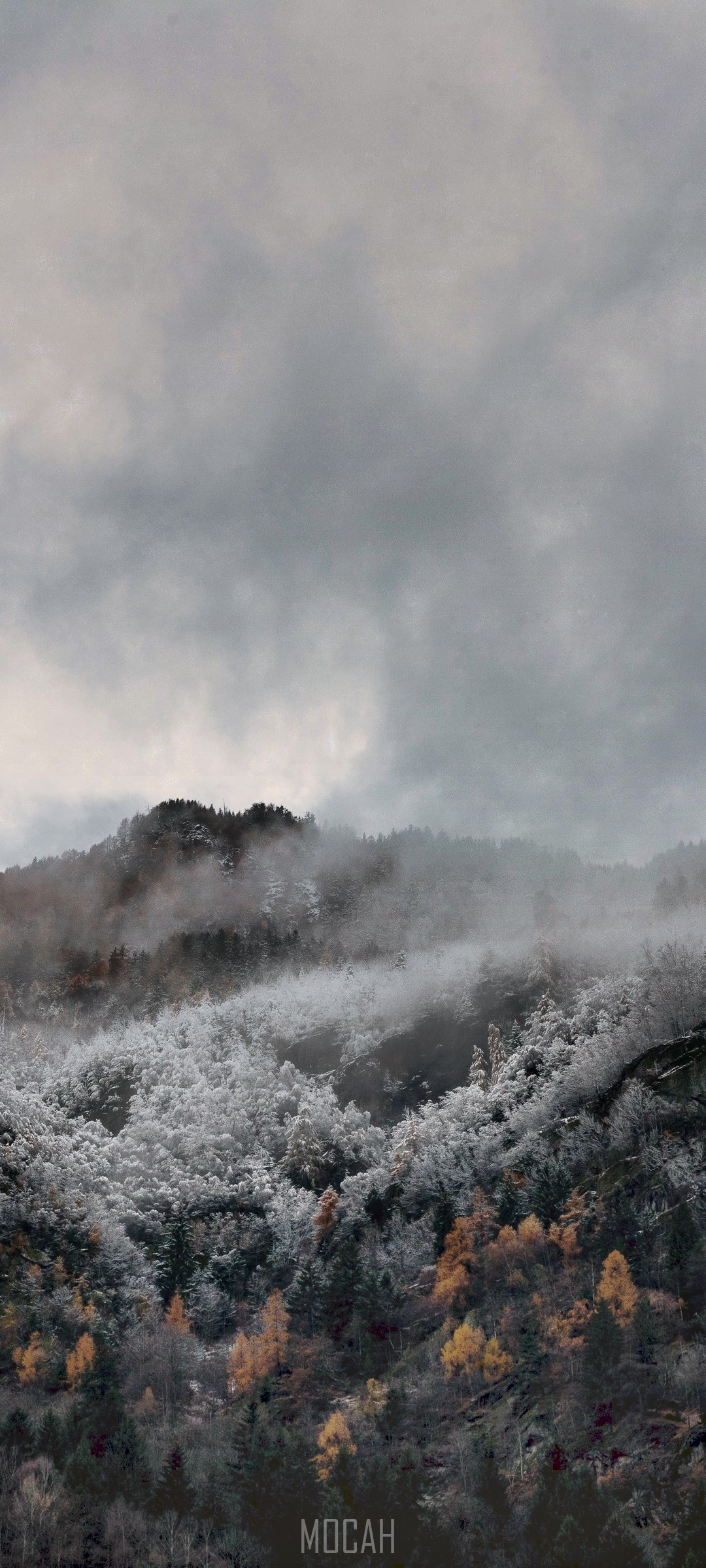 Mountain covered in snow and mist HD Phone Wallpaper