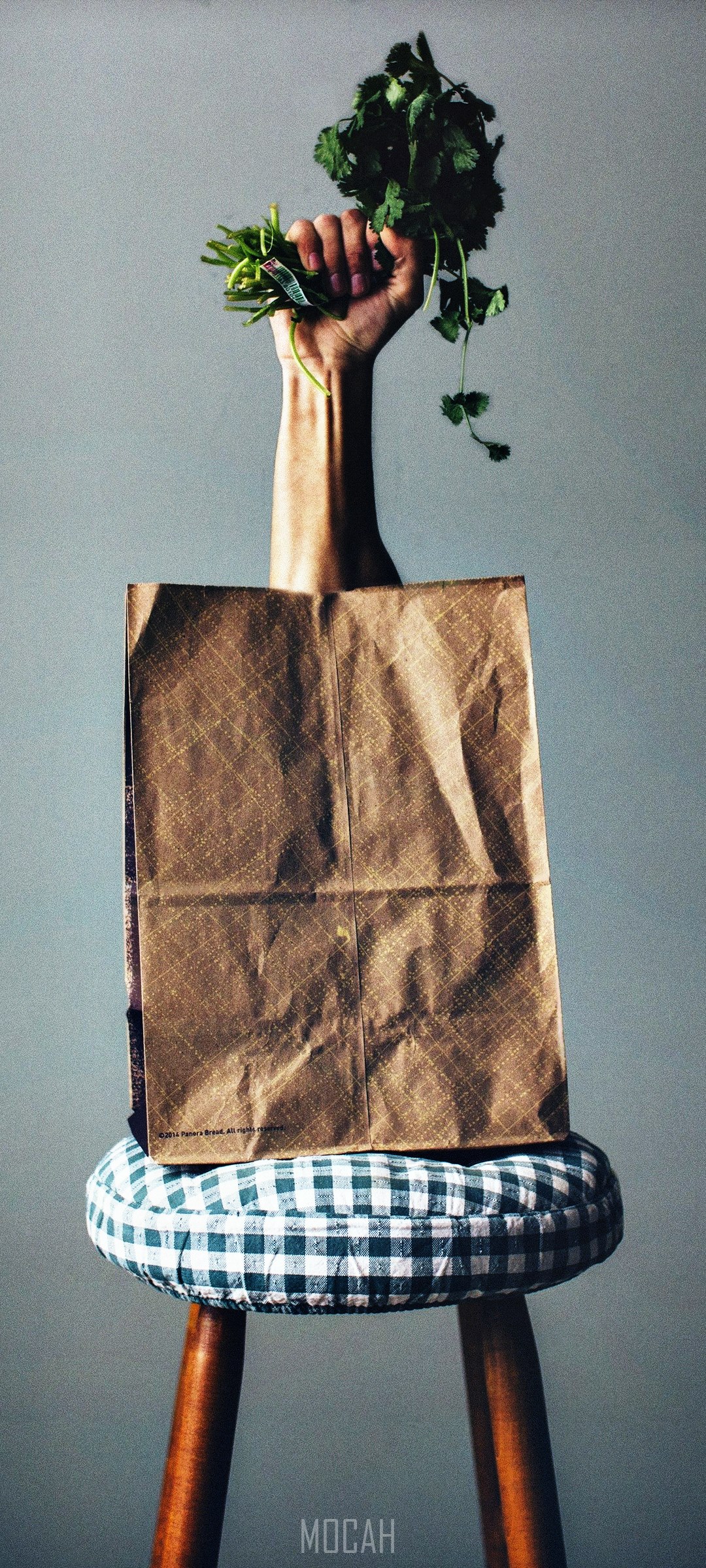 Hand holding herbs above grocery bag on stool HD Phone Wallpaper