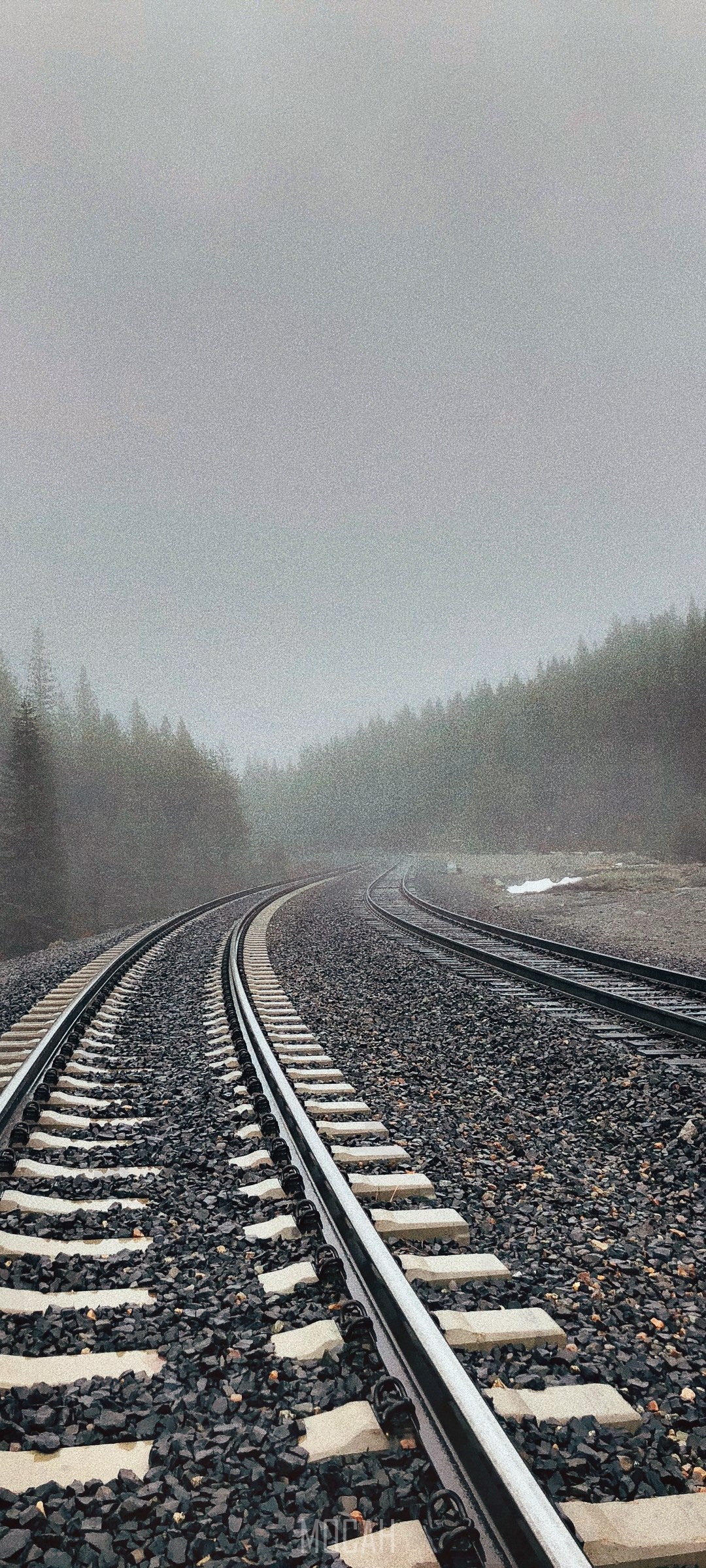 Train tracks in a foggy forest HD Phone Wallpaper