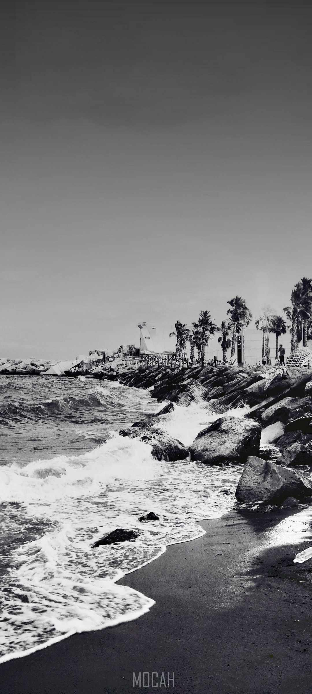 Black and white beach with palm trees and waves HD Phone Wallpaper