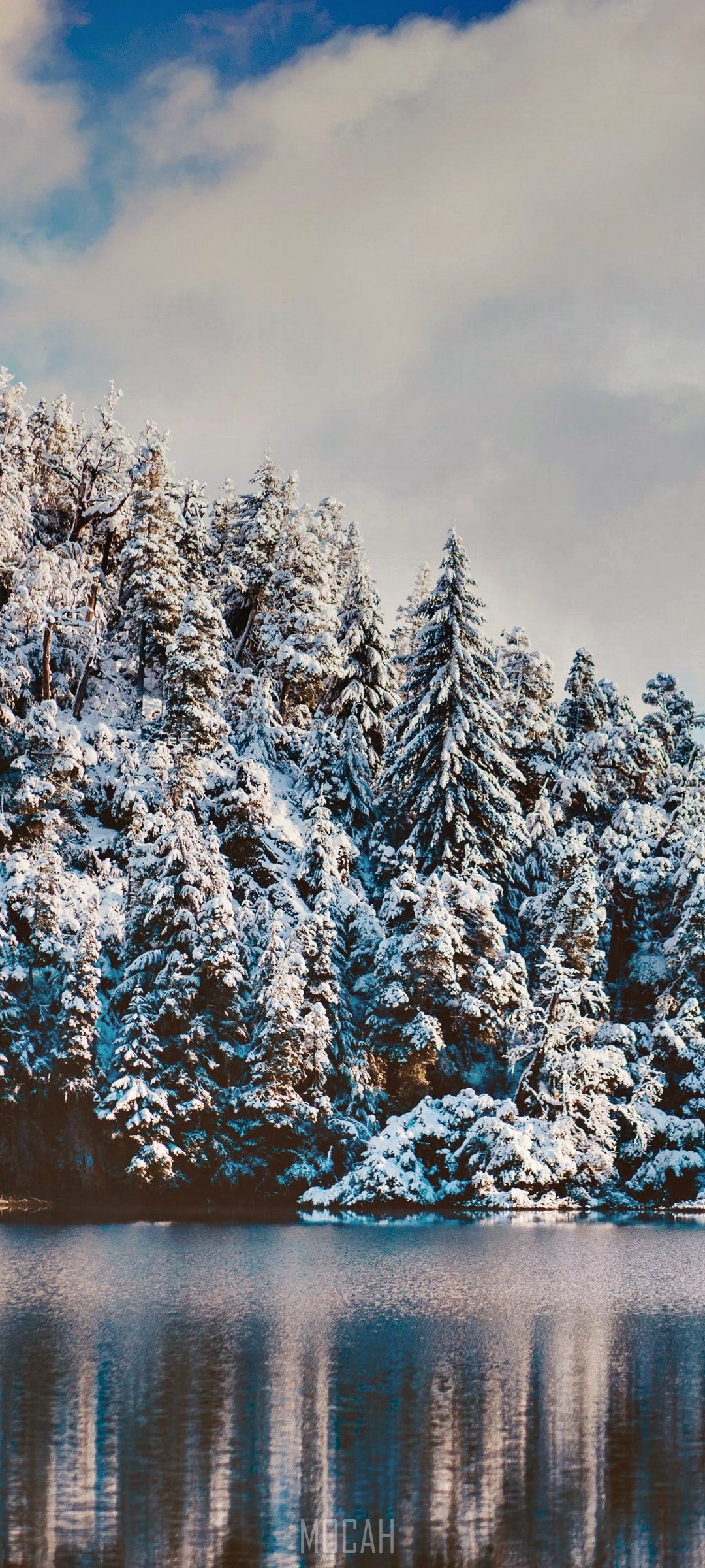 Snow-covered forest reflected in a lake HD Phone Wallpaper