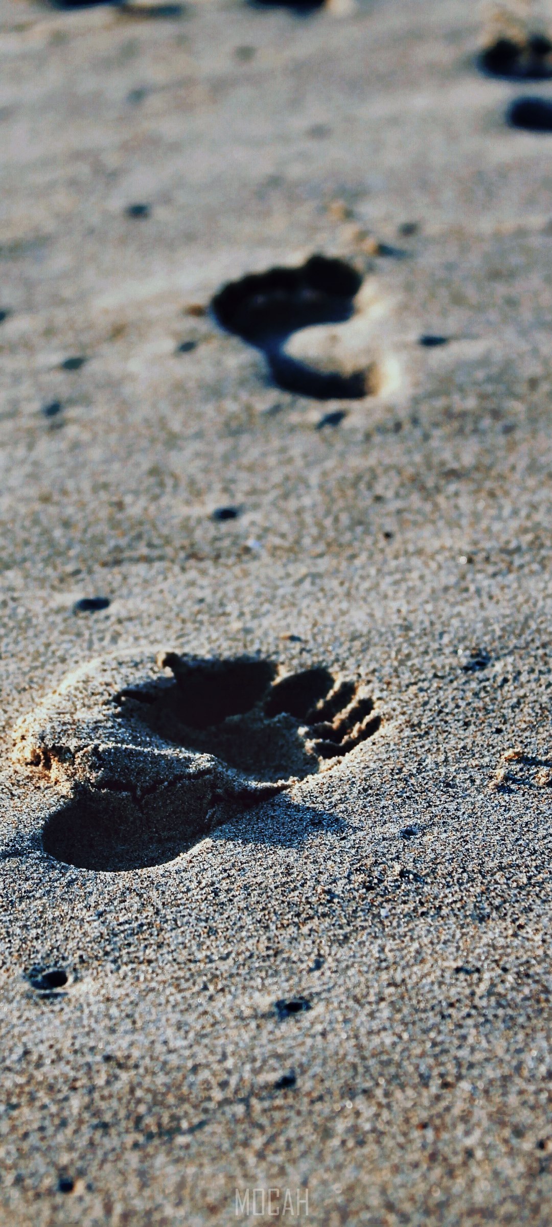 Footprints on a sandy beach HD Phone Wallpaper