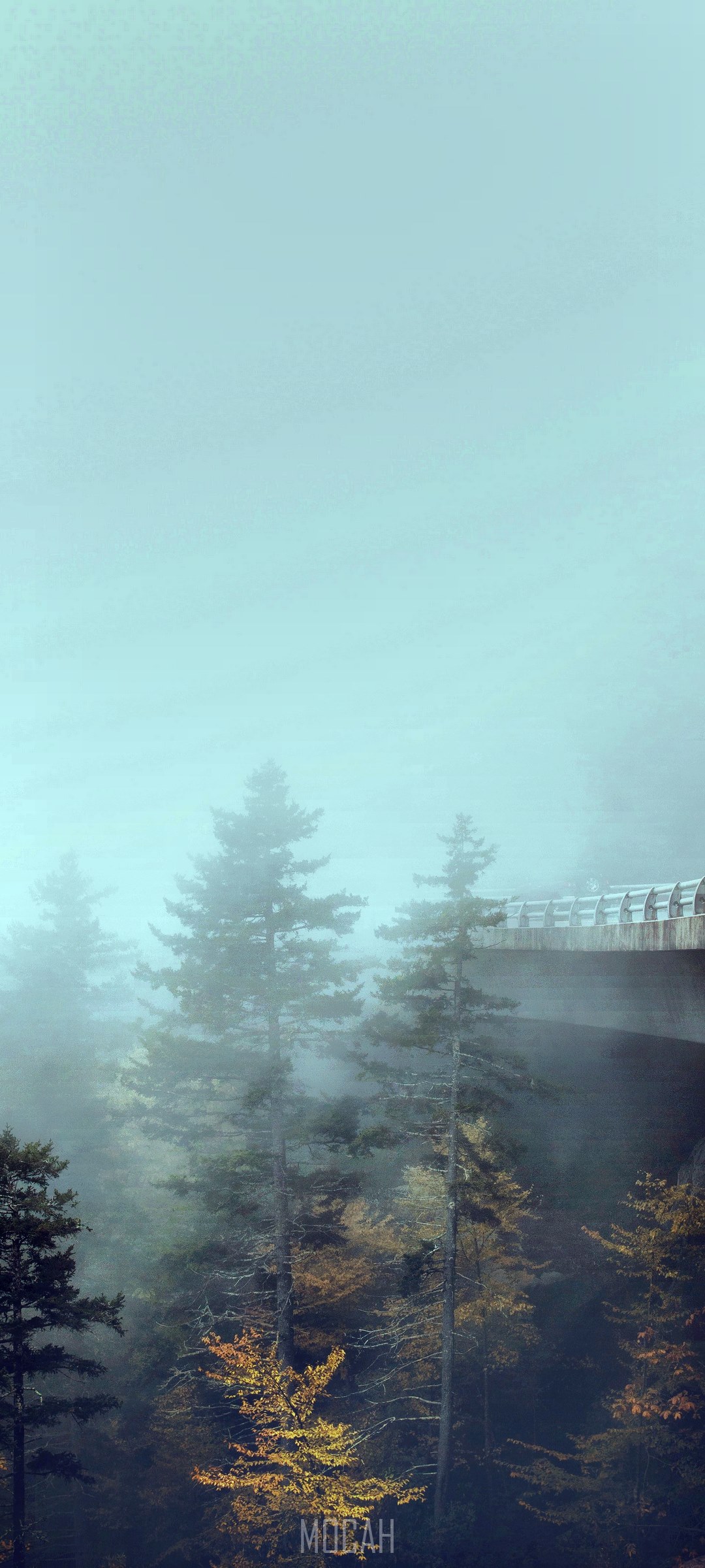 Concrete bridge over foggy forest pines HD Phone Wallpaper